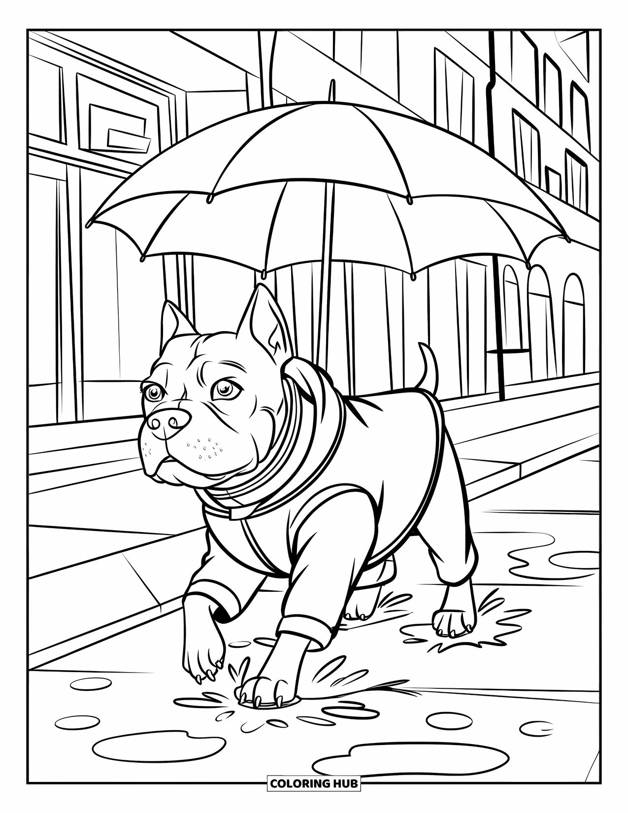 Pitbull Ausmalbild für Kinder: Regentagspaziergang für einen Pitbull in einem Mantel durch die Bürgersteige der Stadt
