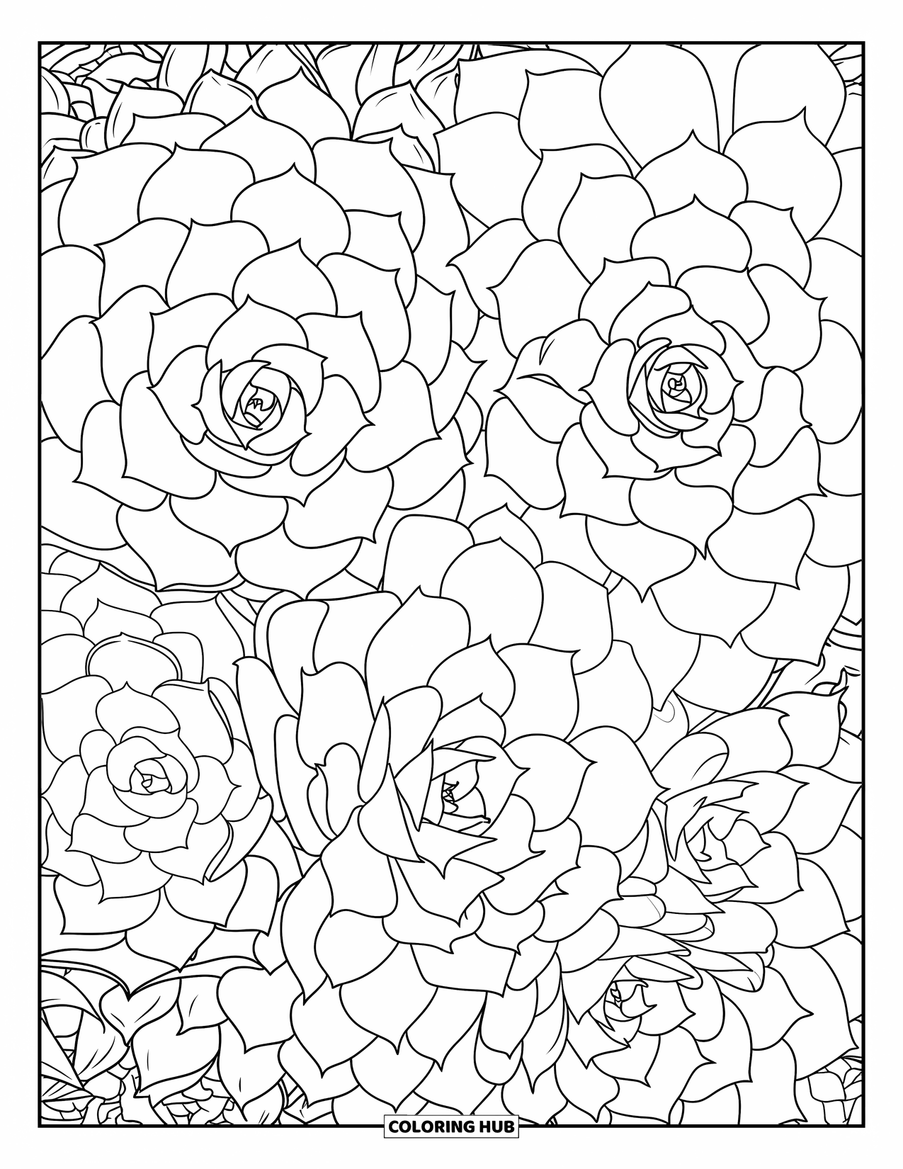 Desenho de Plantas para Colorir para Adultos: Uma página inteira de suculentas densamente compactadas com folhas arredondadas detalhadas