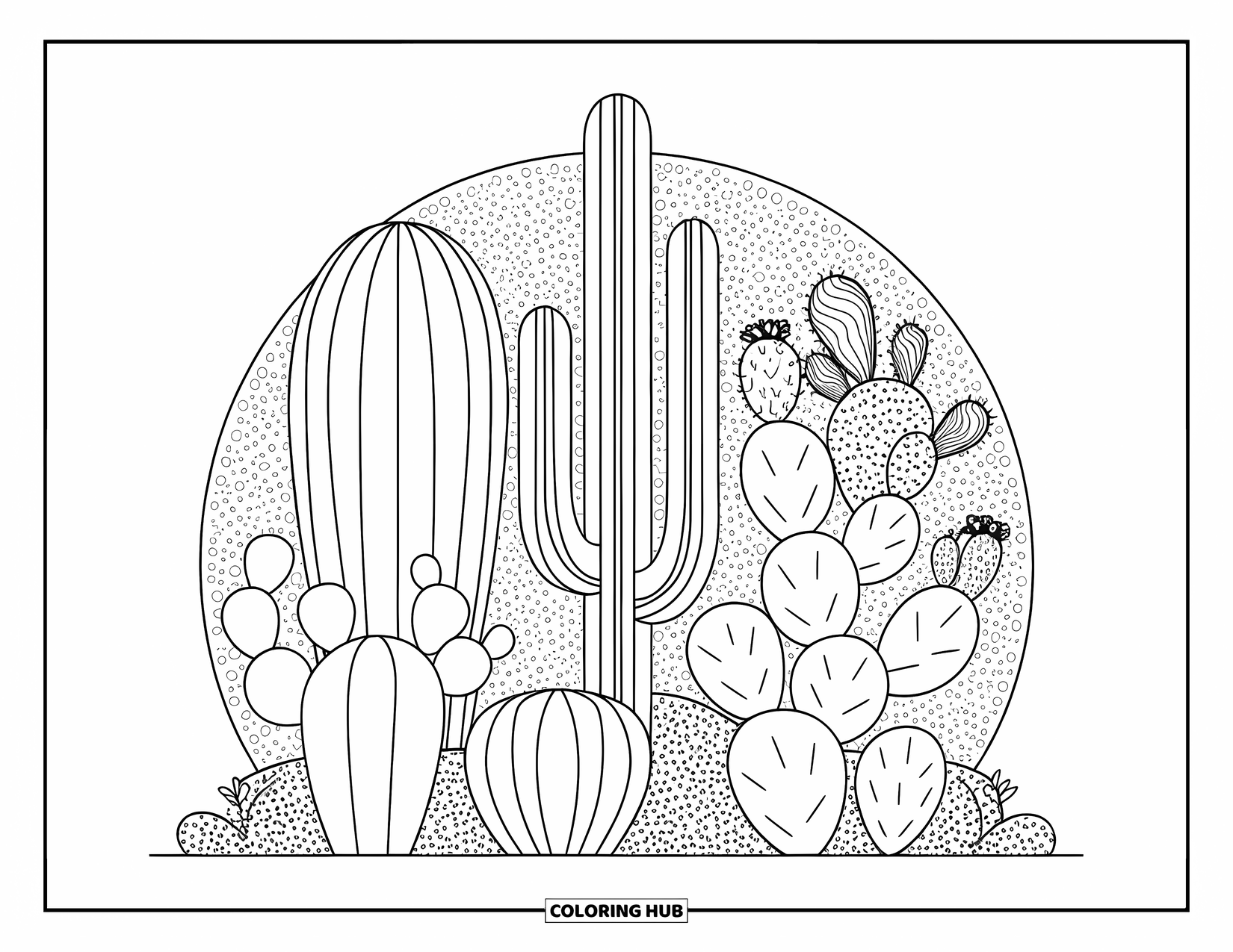 Desenho de Plantas para Colorir para Adultos: Uma mistura pacífica de cactos se destaca em um fundo de seixos pontilhados