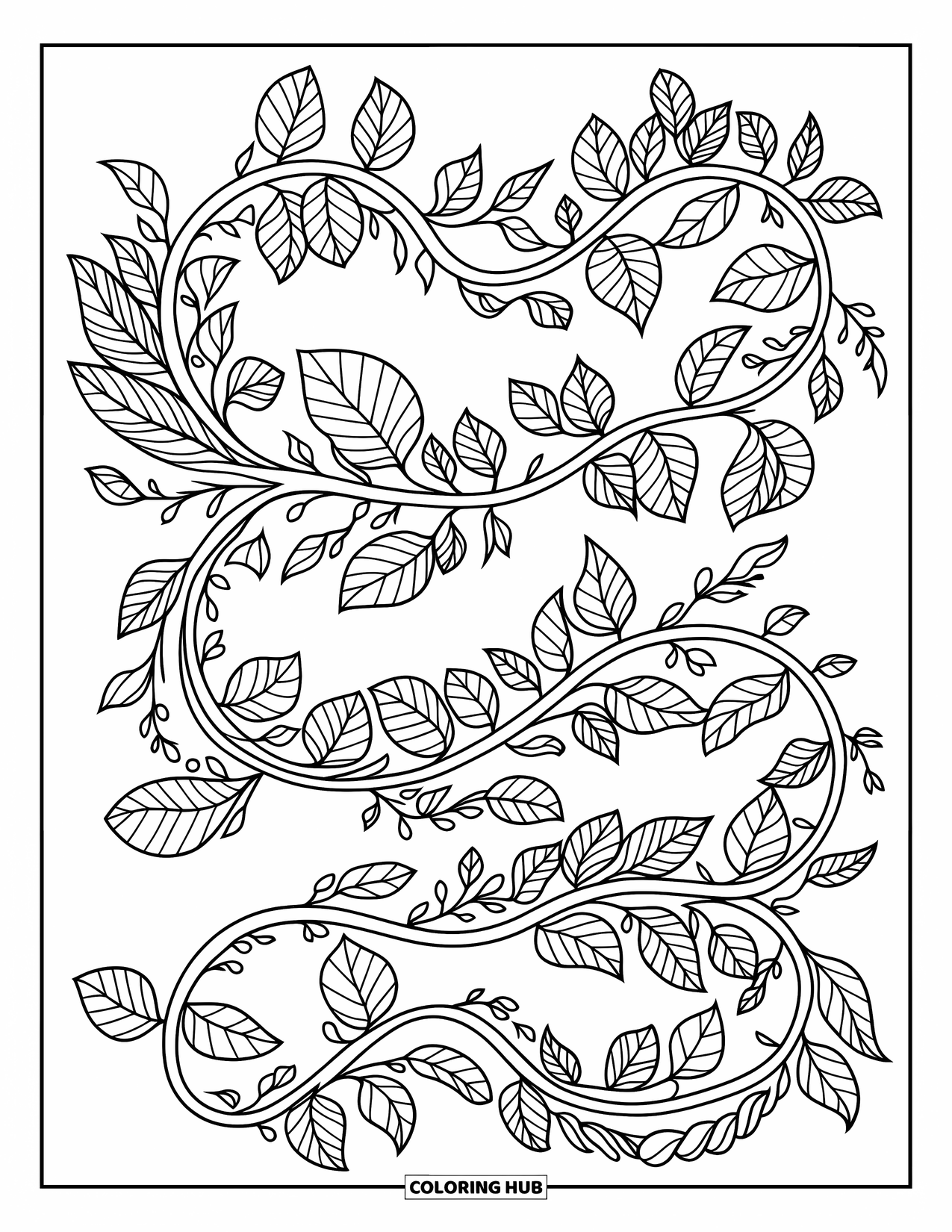 Desenho de Plantas para Colorir para Adultos: Uma rede sinuosa de trepadeiras frondosas enche a página com detalhes relaxantes