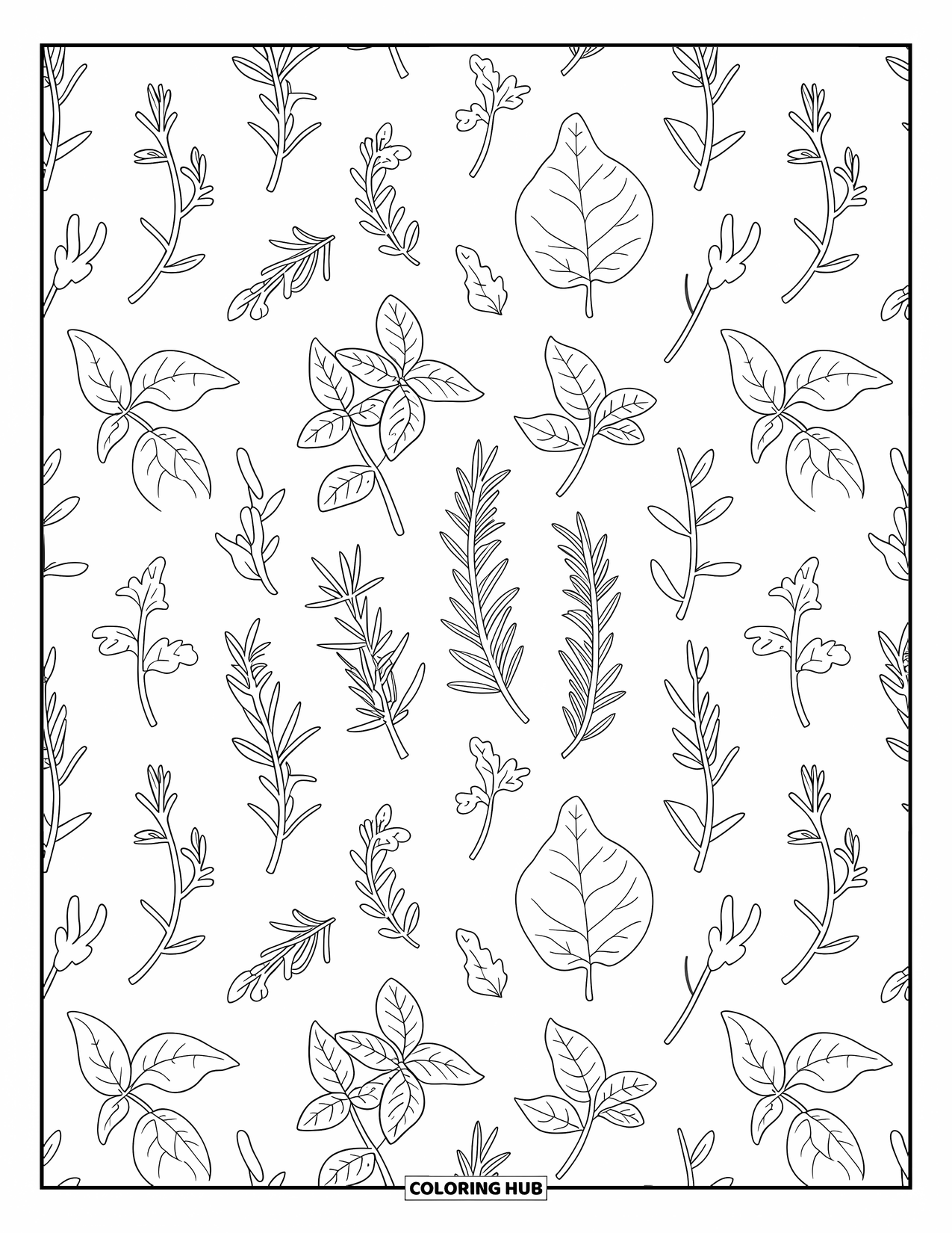 Desenho de planta para colorir para adultos: Esboços alternados de ervas preenchem uma grade com detalhes relaxantes