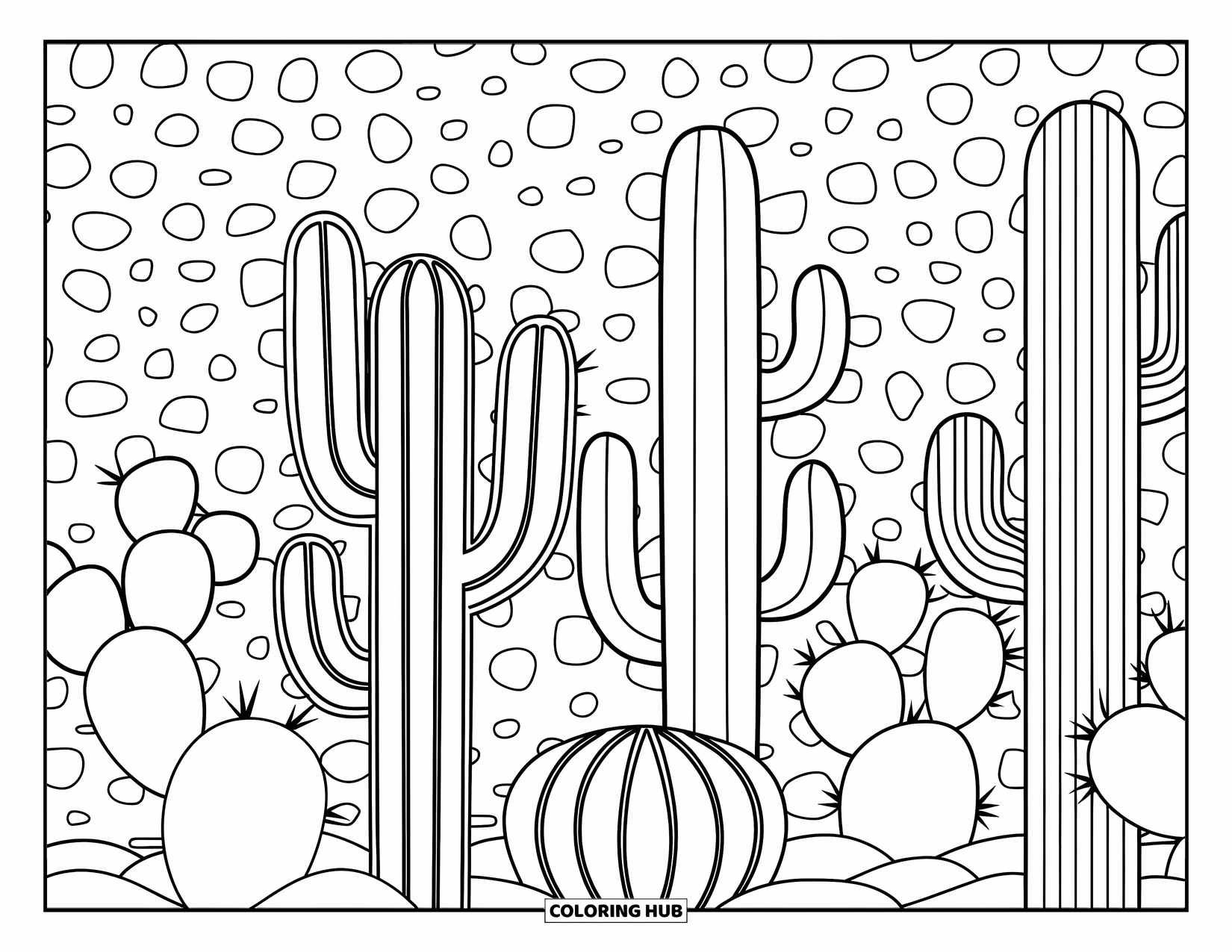 Desenho de planta para colorir para adultos: Cactos barril, saguaro e pera espinhosa preenchem um fundo de pequenas pedrinhas espalhadas