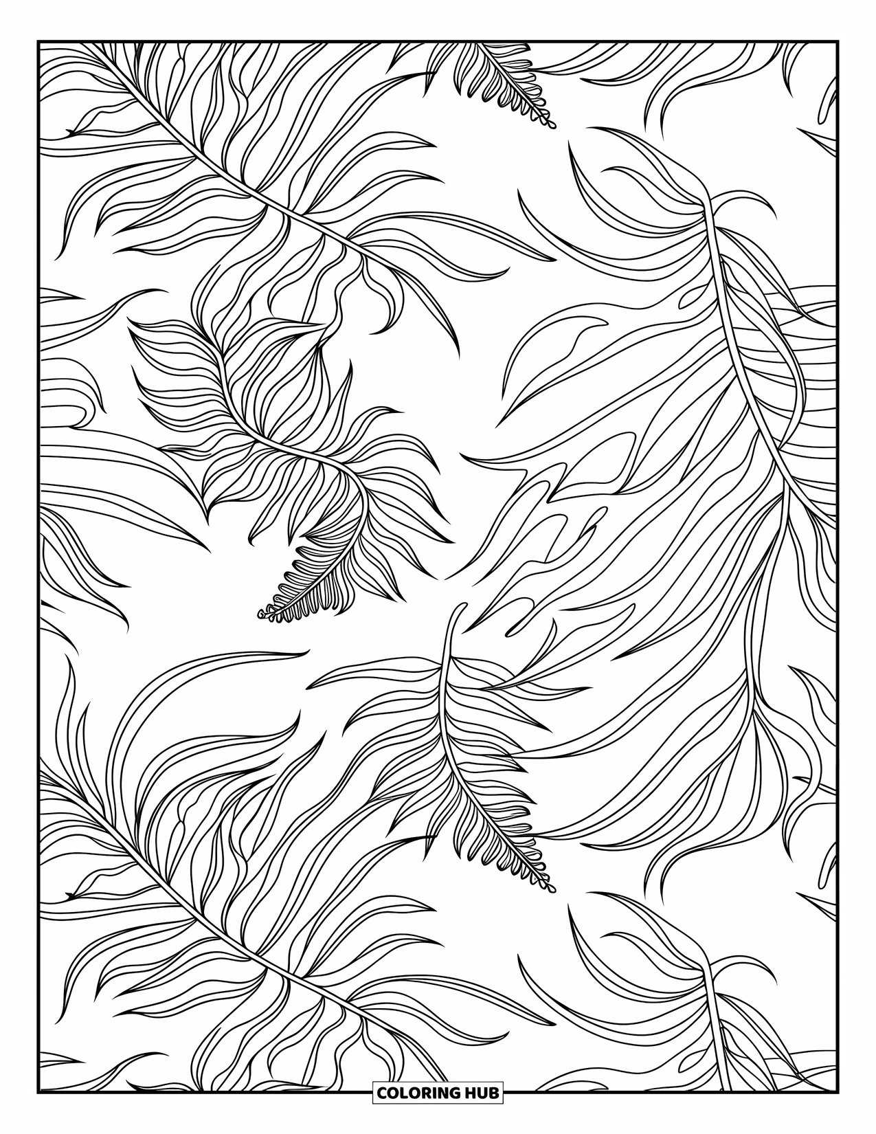 Desenho de Plantas para Colorir para Adultos: Frondes de samambaia enroladas fluem em todas as direções em um padrão repetitivo ousado