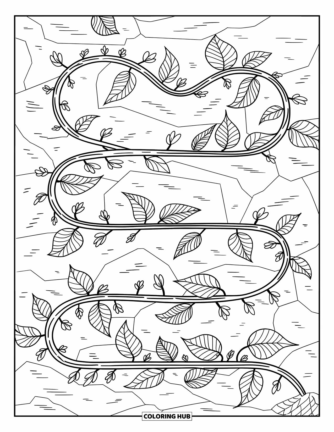 Desenho de planta para colorir para adultos: Vinhas enroladas se entrelaçam em torno de pedras e flores em um padrão natural