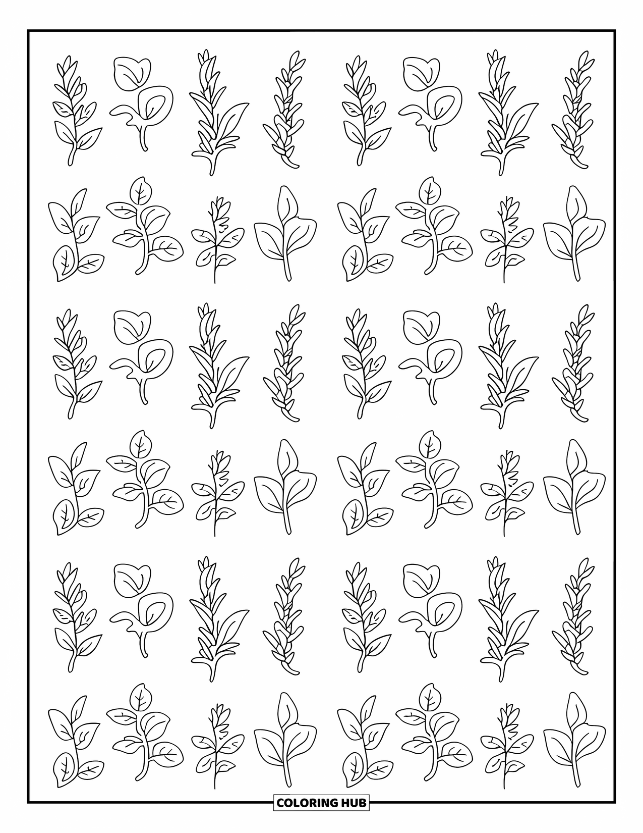 Desenho de planta para colorir para adultos: Folhas de ervas como manjericão e hortelã formam um design de grade calmo e repetitivo