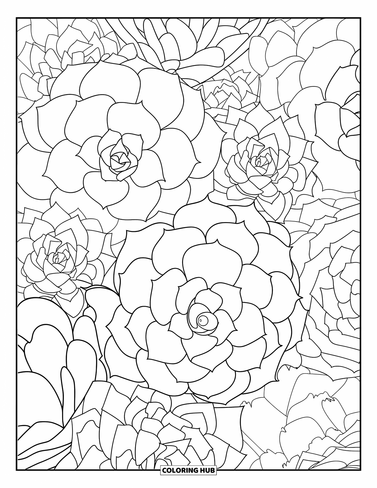 Desenho de planta para colorir para adultos: Suculentas em camadas cobrem a página com padrões pacíficos e intrincados