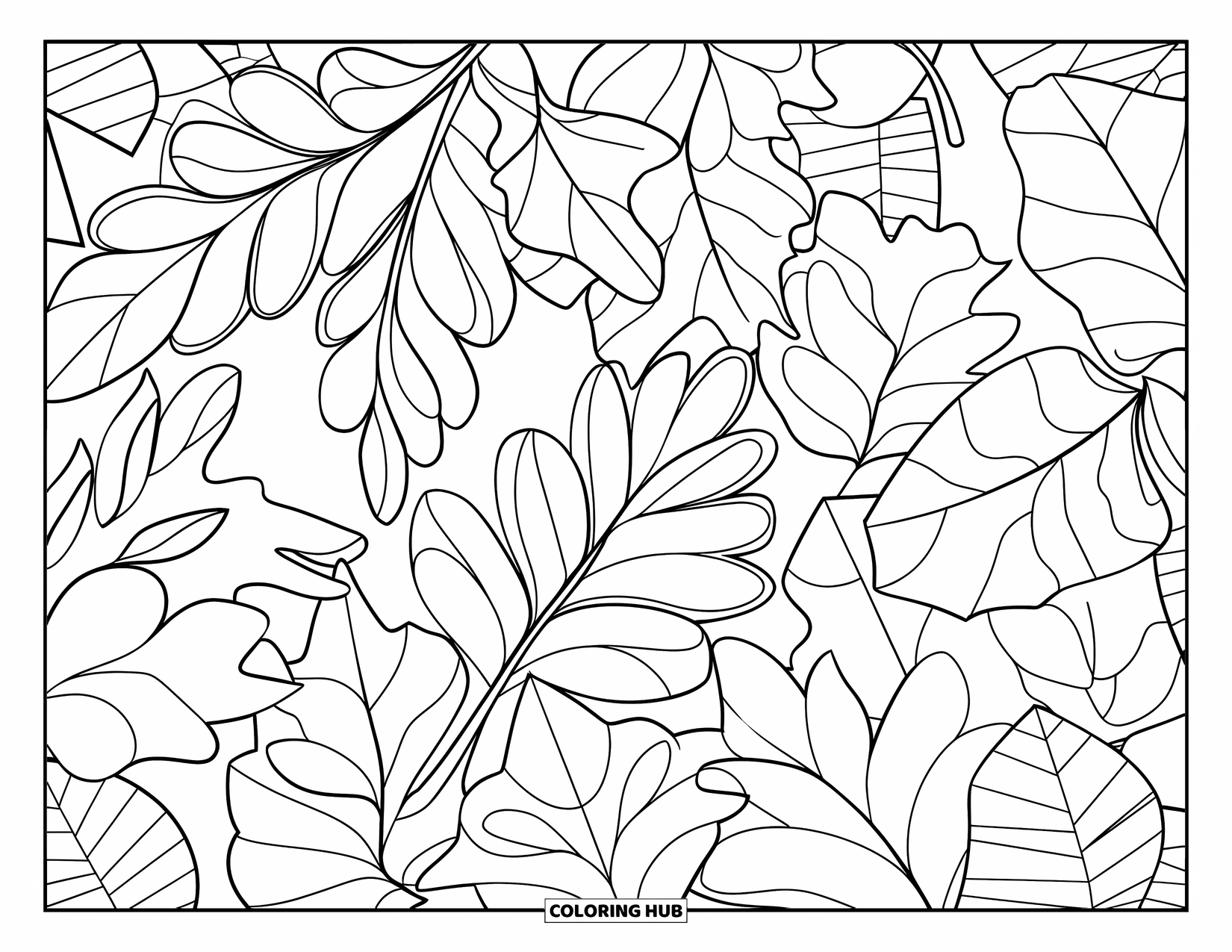 Desenho de planta para colorir para adultos: Folhas de diferentes árvores são sobrepostas e giradas em uma página branca e limpa