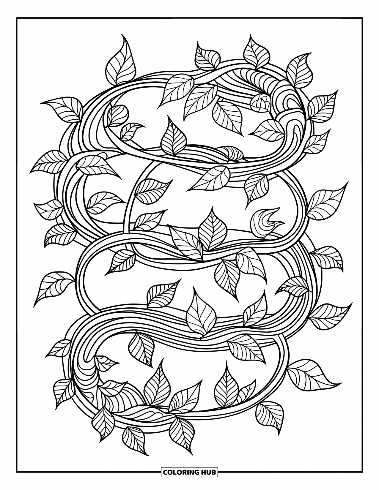 Desenho de planta para colorir para adultos: Vinhas com folhas de hera, pothos e eucalipto tecem um design fluído