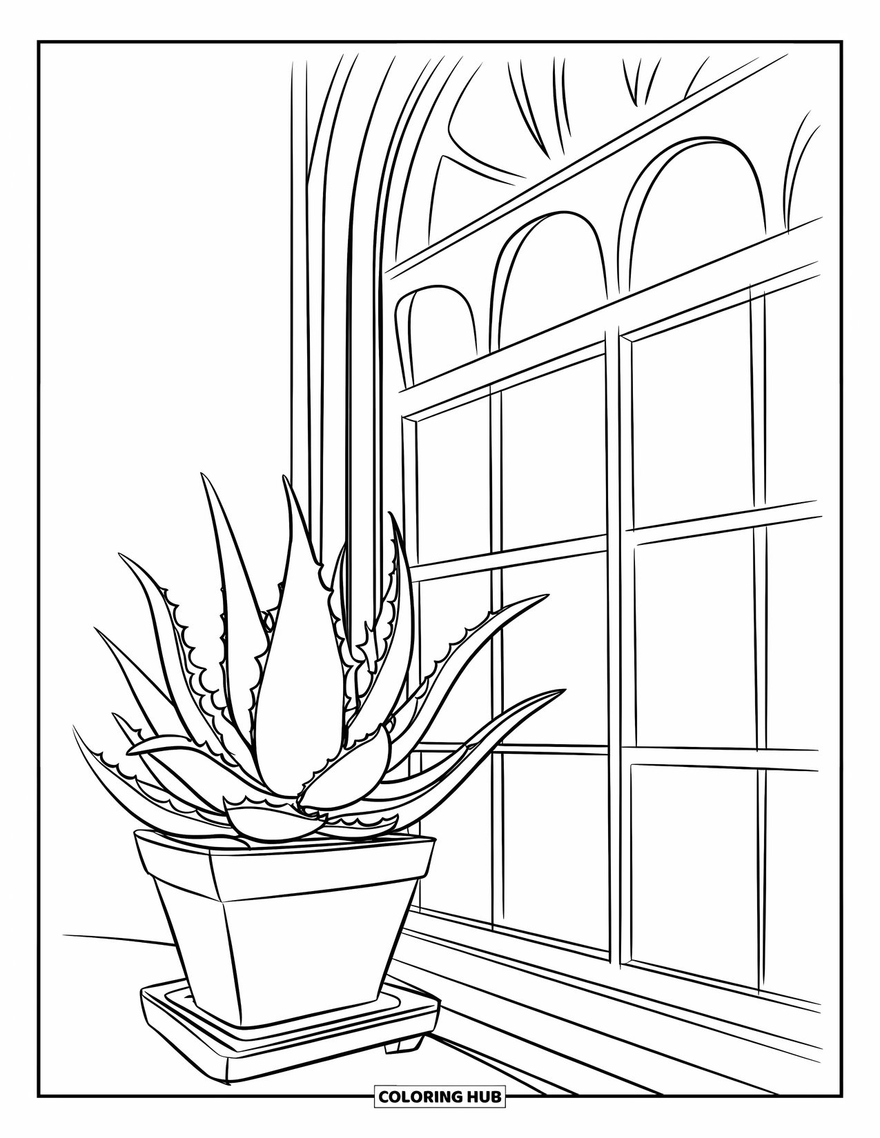 Desenho de Planta para Colorir para Crianças: Uma aloe vera robusta está em um vaso perto de uma janela ensolarada