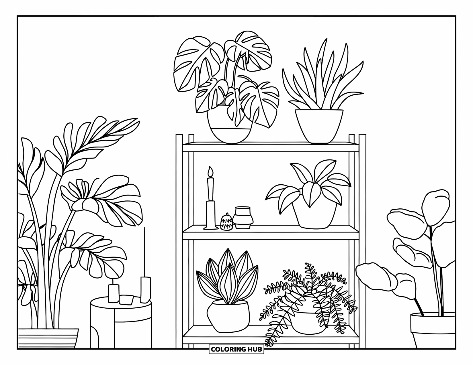 Desenho de Planta para Colorir para Crianças: Uma prateleira aconchegante exibe cinco plantas domésticas, uma vela e um pequeno vaso