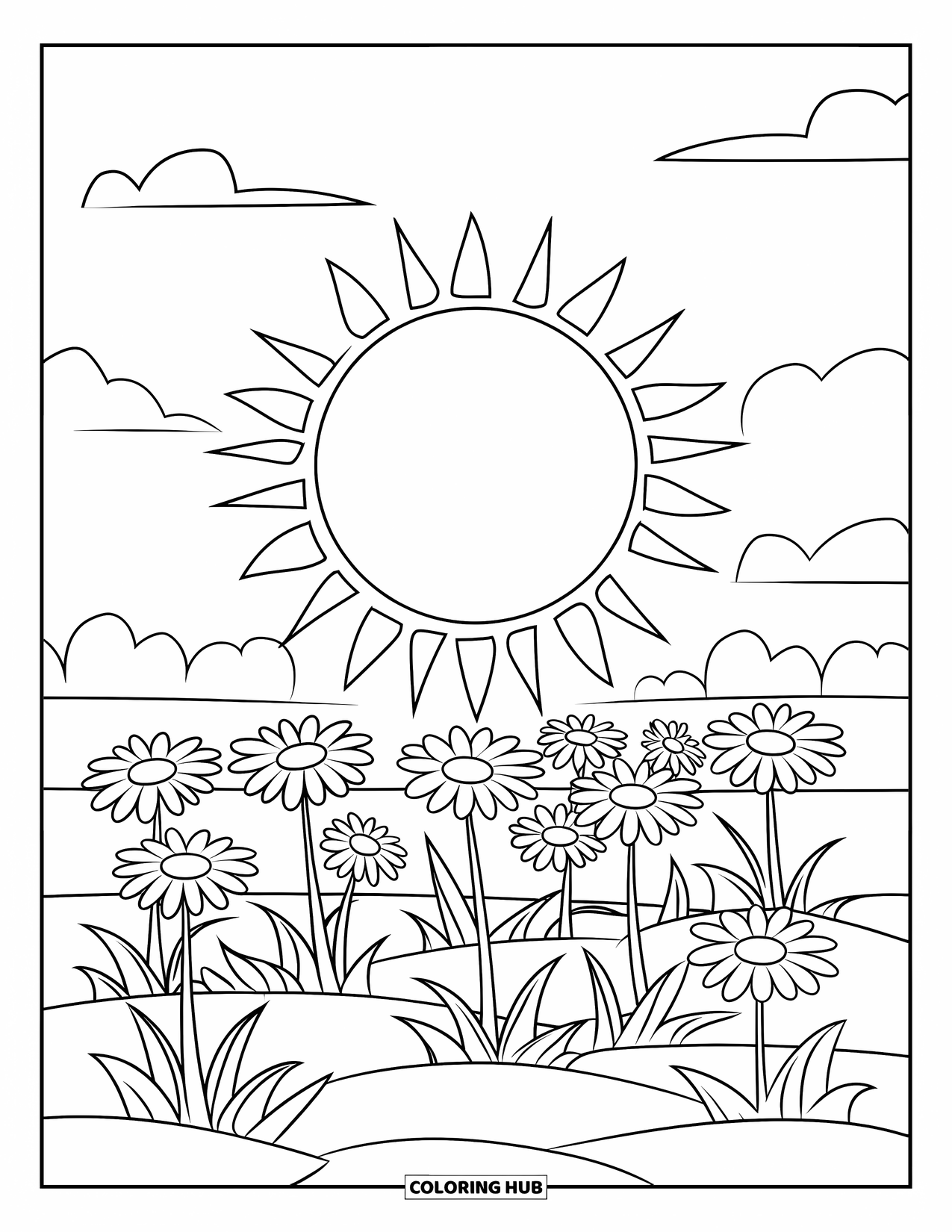 Desenho de Planta para Colorir para Crianças: Um campo de margaridas cresce sob o sol brilhante