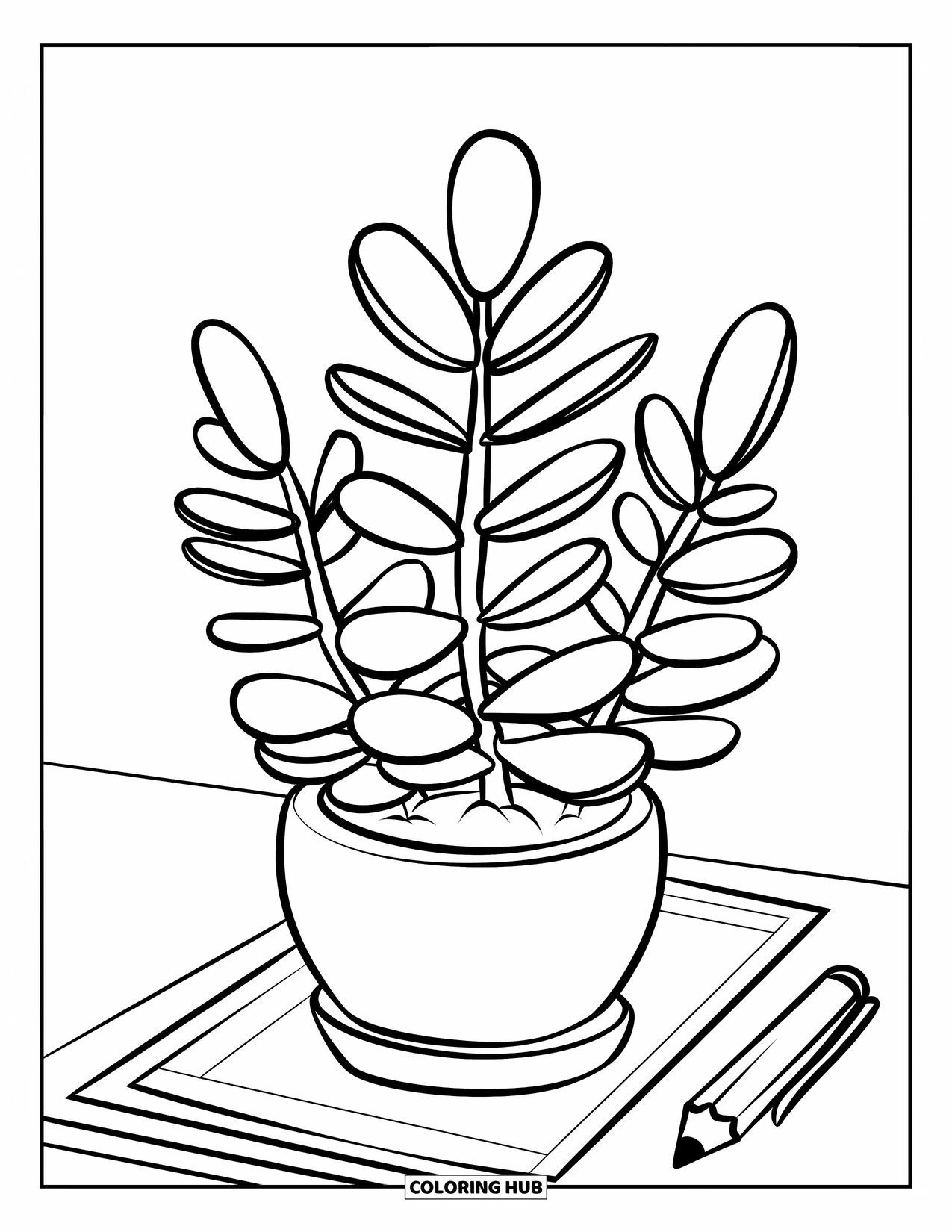 Desenho de Planta para Colorir para Crianças: Uma planta jade e um lápis estão sobre uma escrivaninha pequena e organizada