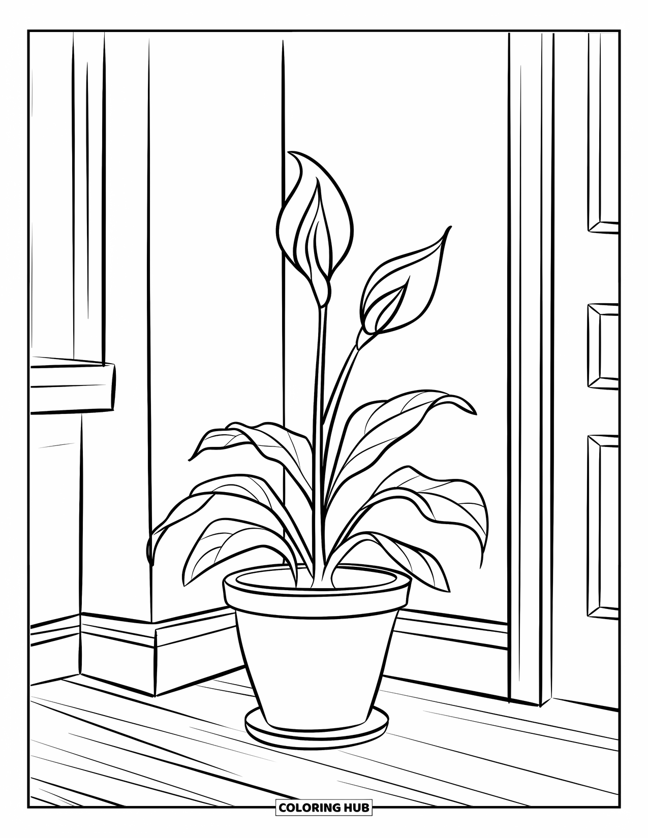 Desenho de Planta para Colorir para Crianças: Um lírio-da-paz em um vaso está calmamente em um canto tranquilo