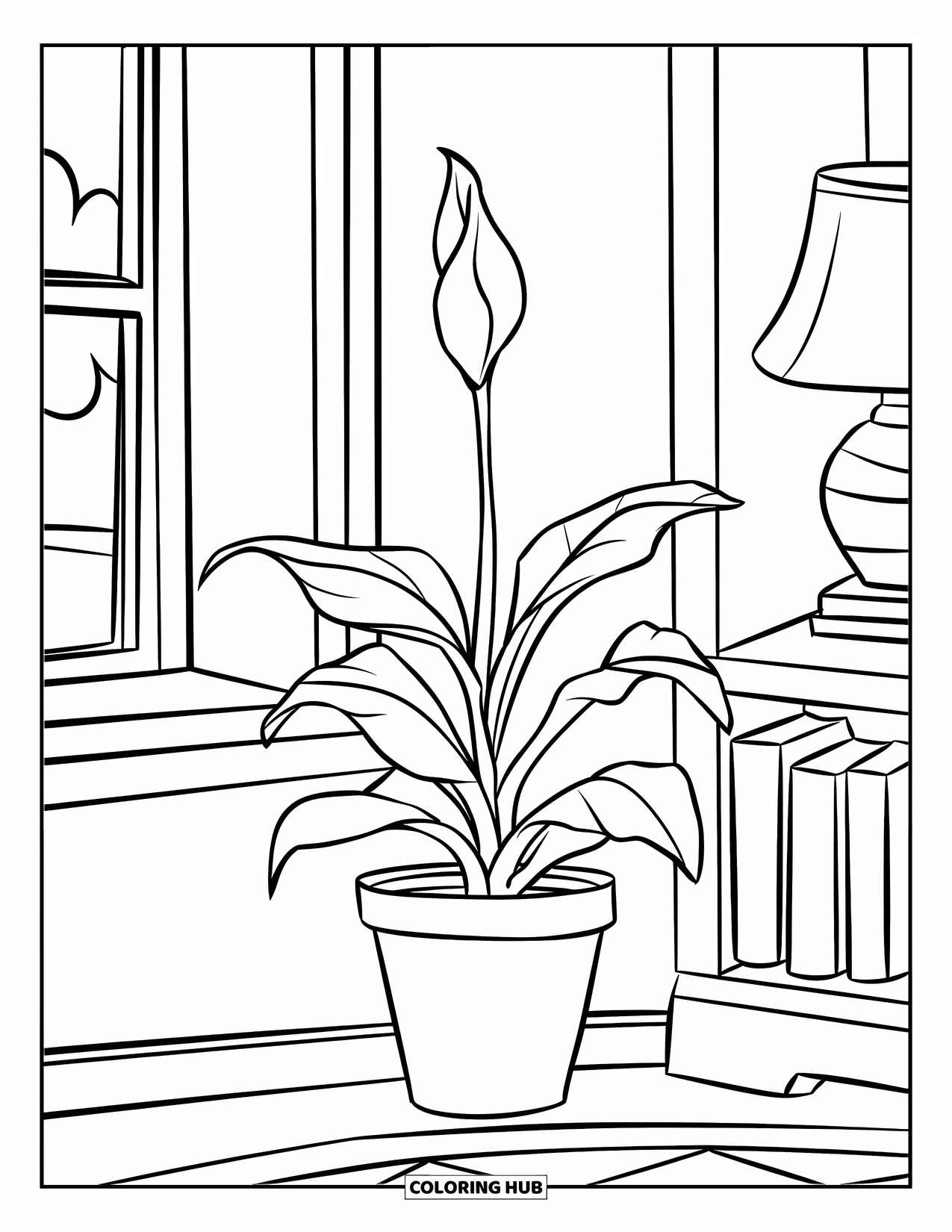 Desenho de Planta para Colorir para Crianças: Um lírio-da-paz com duas folhas largas repousa silenciosamente em um canto da sala