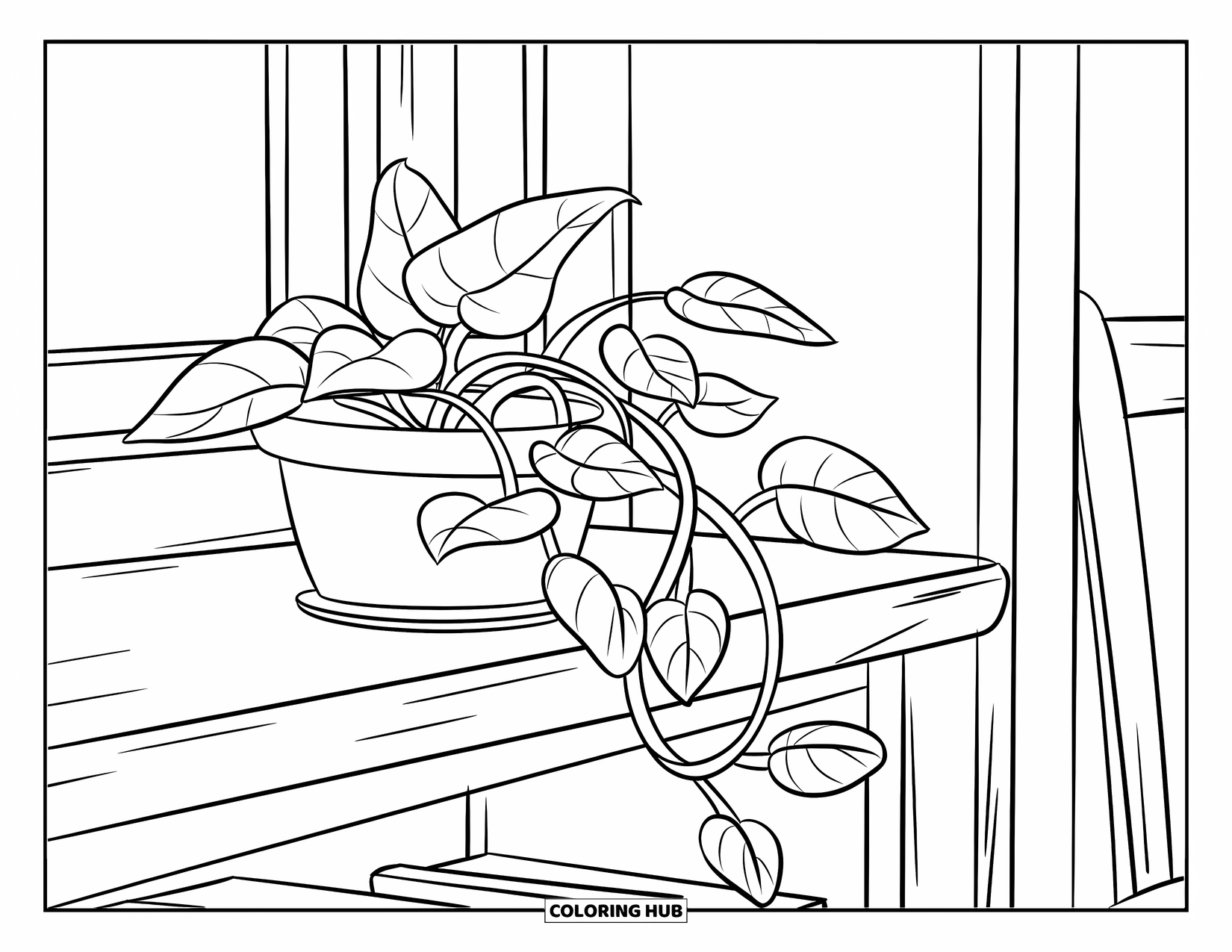 Desenho de Planta para Colorir para Crianças: Uma planta pothos com folhas grandes se enrola em uma estante rústica
