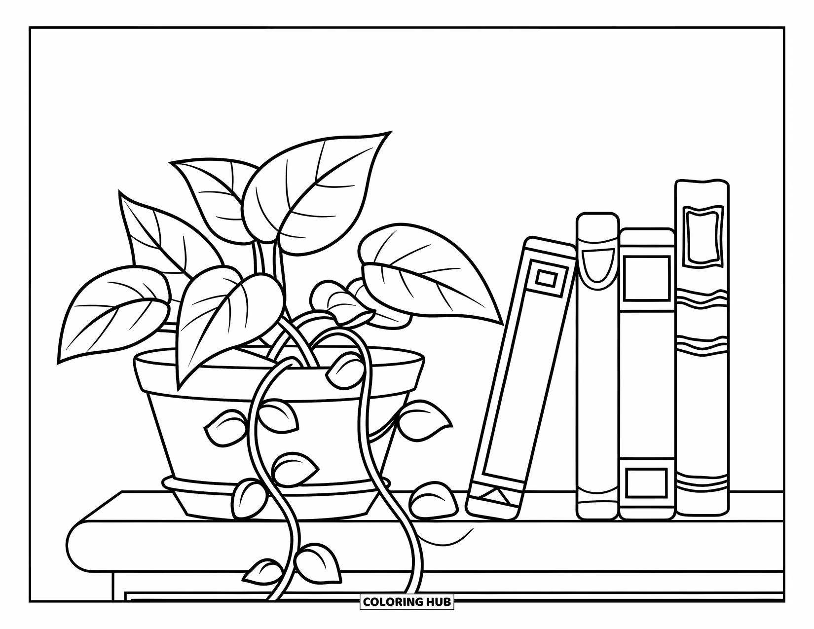Desenho de Planta para Colorir para Crianças: Uma planta pothos com trepadeiras repousa sobre uma estante de madeira baixa