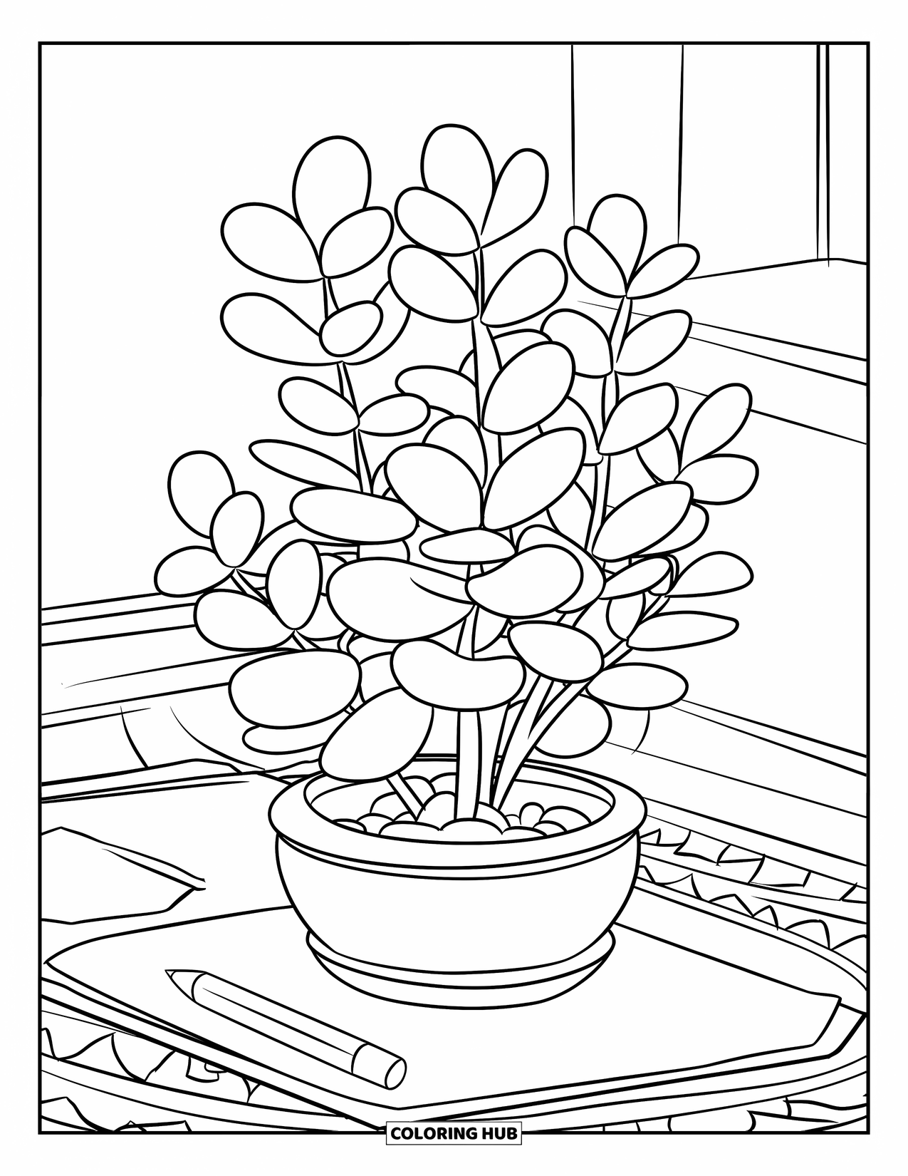 Desenho de Planta para Colorir para Crianças: Um vaso redondo com planta jade repousa sobre uma escrivaninha