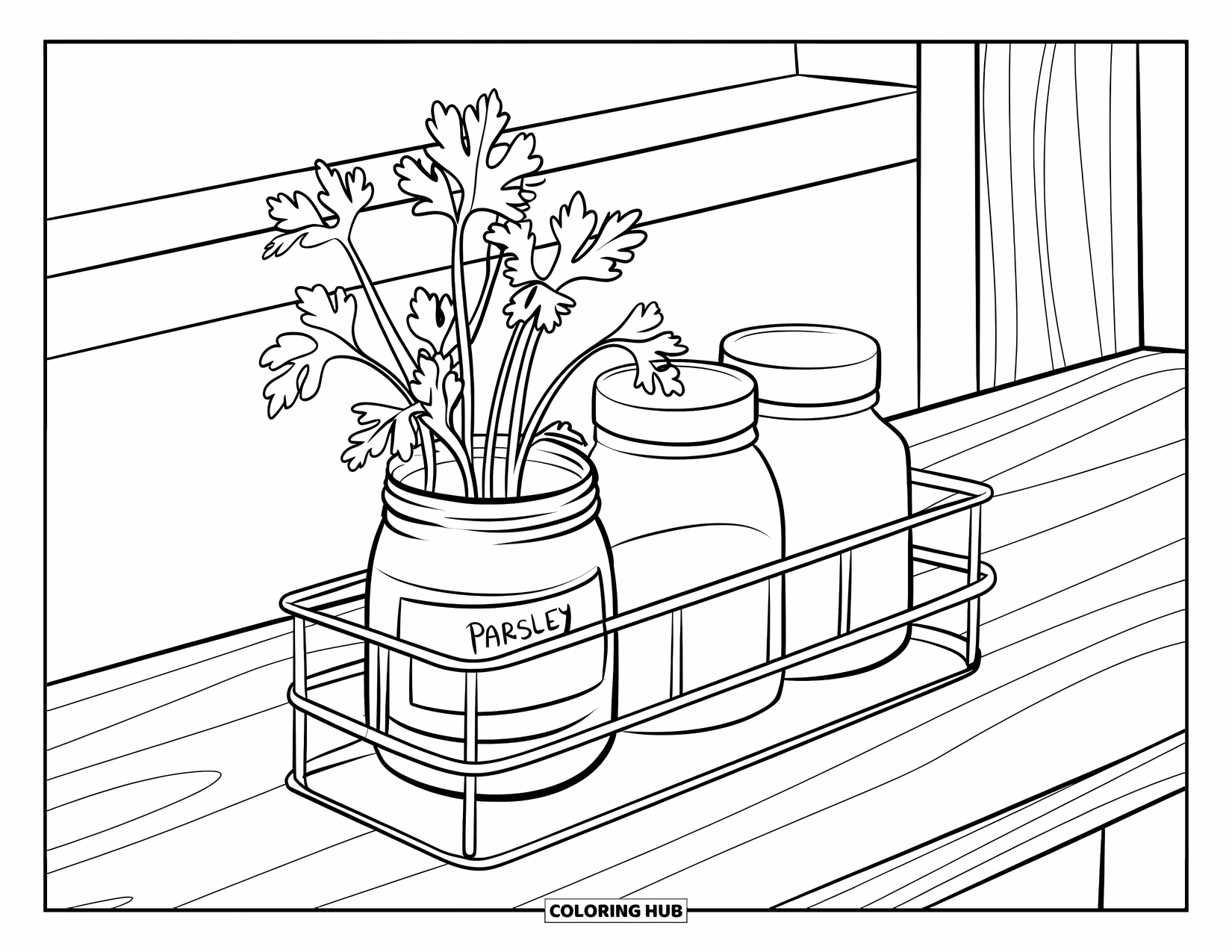 Desenho de Planta para Colorir para Crianças: Uma pequena planta de salsa cresce em um pote em um rack de ervas interno simples