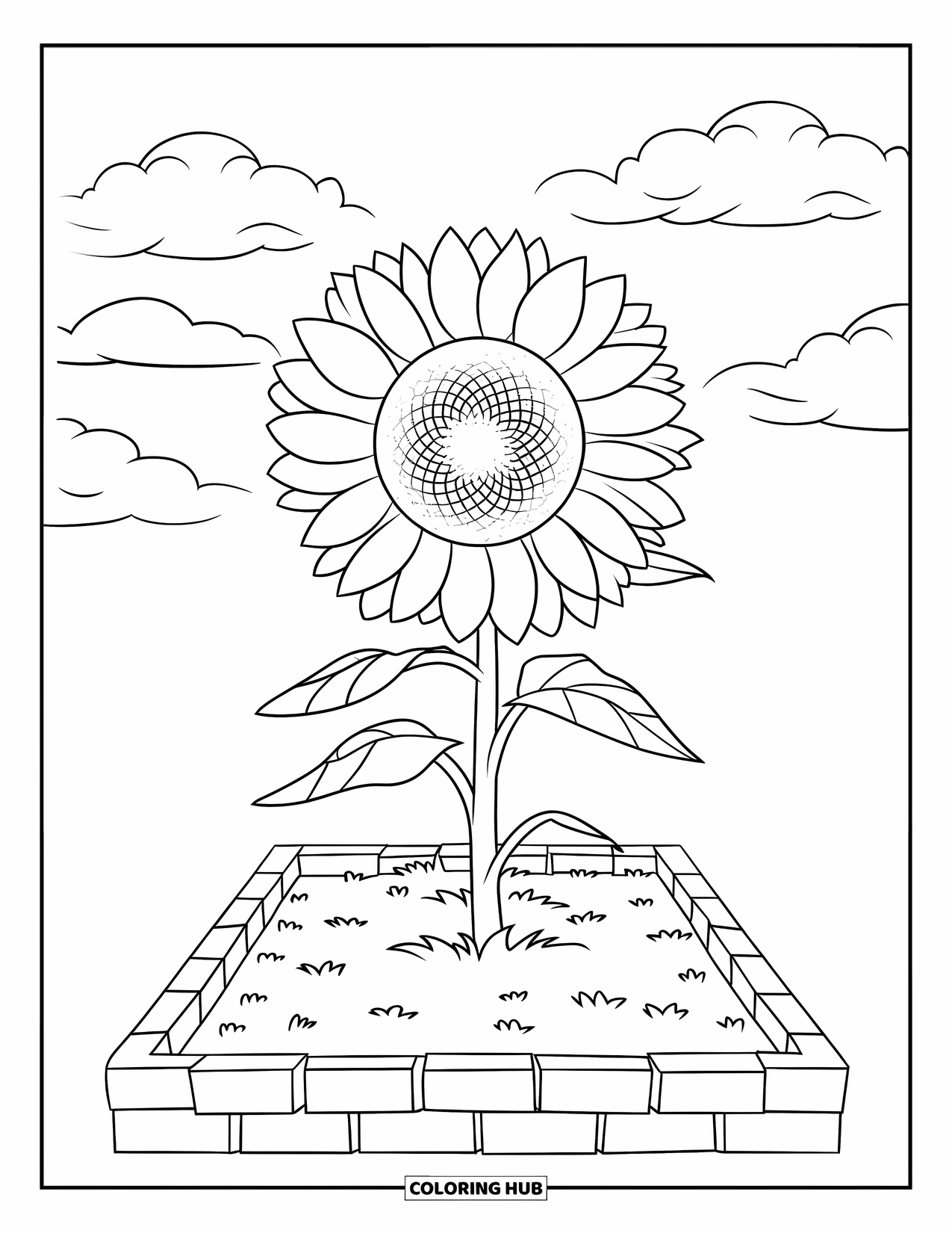 Desenho de Planta para Colorir para Crianças: Um girassol com pétalas grandes se destaca em um jardim ensolarado