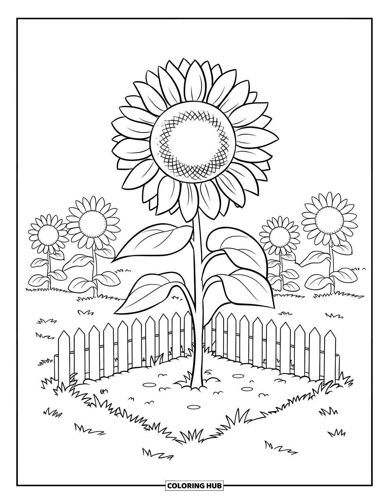 Desenho de Planta para Colorir para Crianças: Um girassol alto com pétalas grandes cresce em um canteiro de jardim