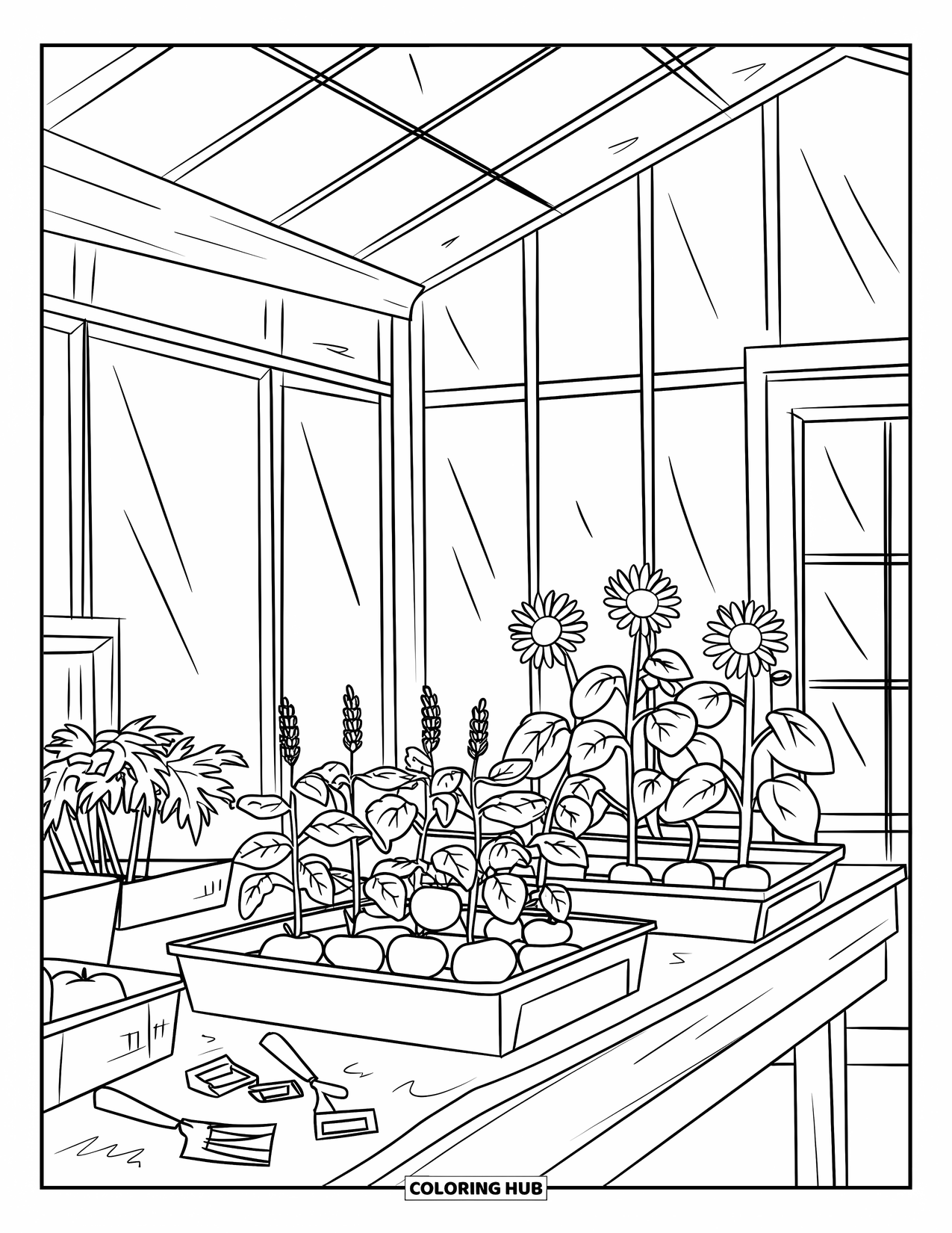 Desenho de Planta para Colorir para Crianças: Mudas e ferramentas estão em uma mesa de jardinagem dentro de uma estufa aconchegante
