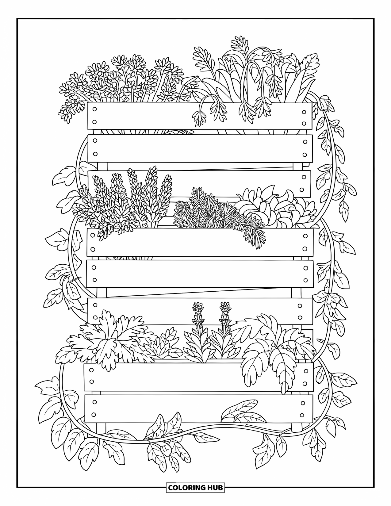 Desenho de Planta para Colorir para Crianças: Caixas empilhadas cheias de ervas aromáticas com trepadeiras descendo por uma parede de jardim brilhante