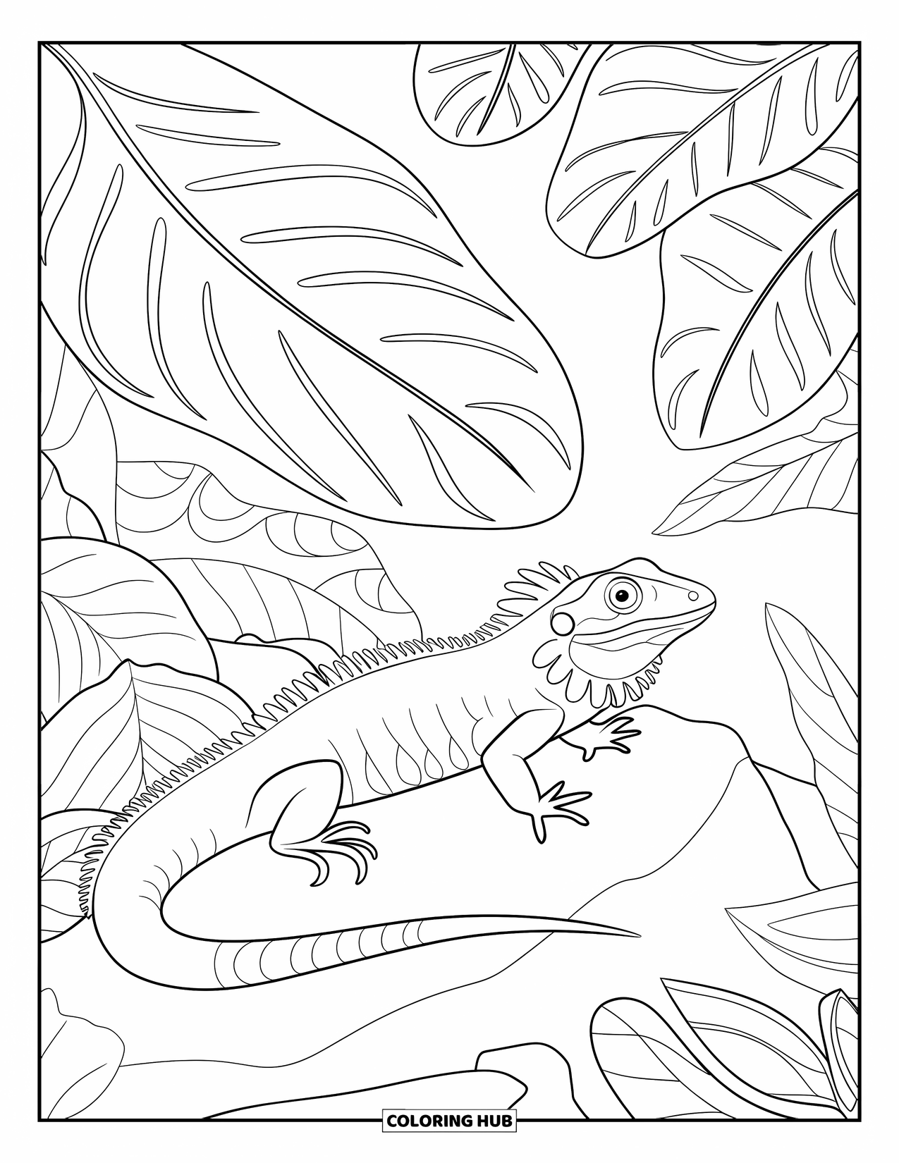Reptile Coloring Page for Adults: Frilled lizard on a rock with detailed leafy jungle surroundings