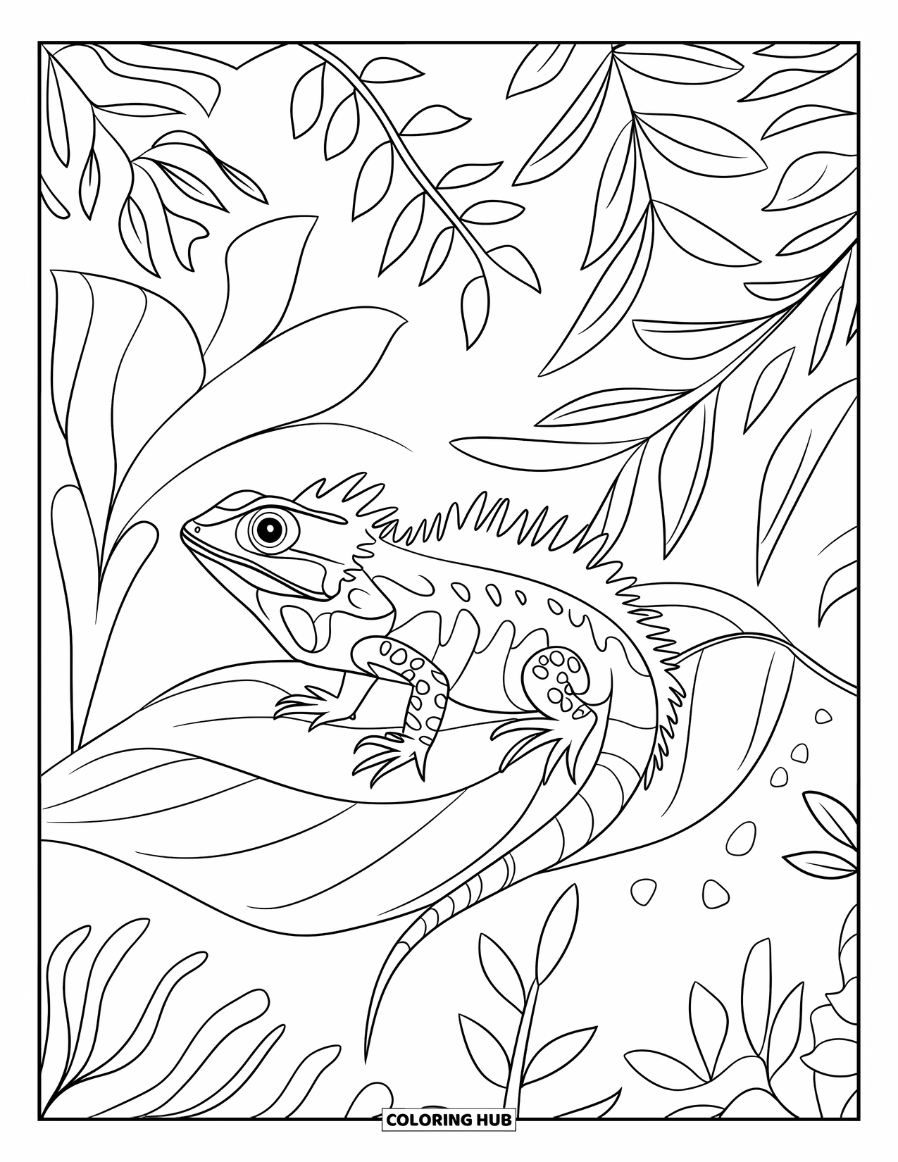 Reptile Coloring Page for Adults: Frilled lizard sits on a leaf among flowing jungle patterns