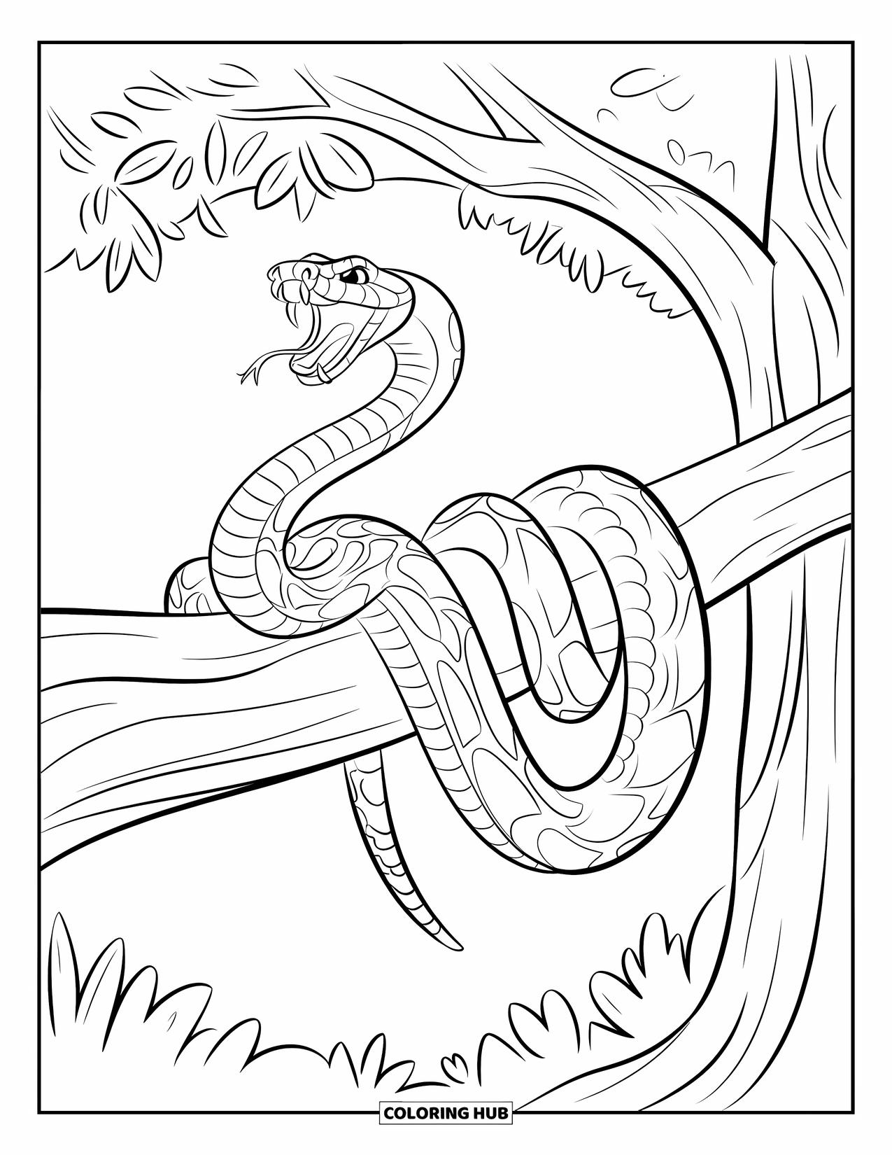 Reptile Coloring Page for Kids: Boa constrictor with open mouth rests on a rugged tree branch