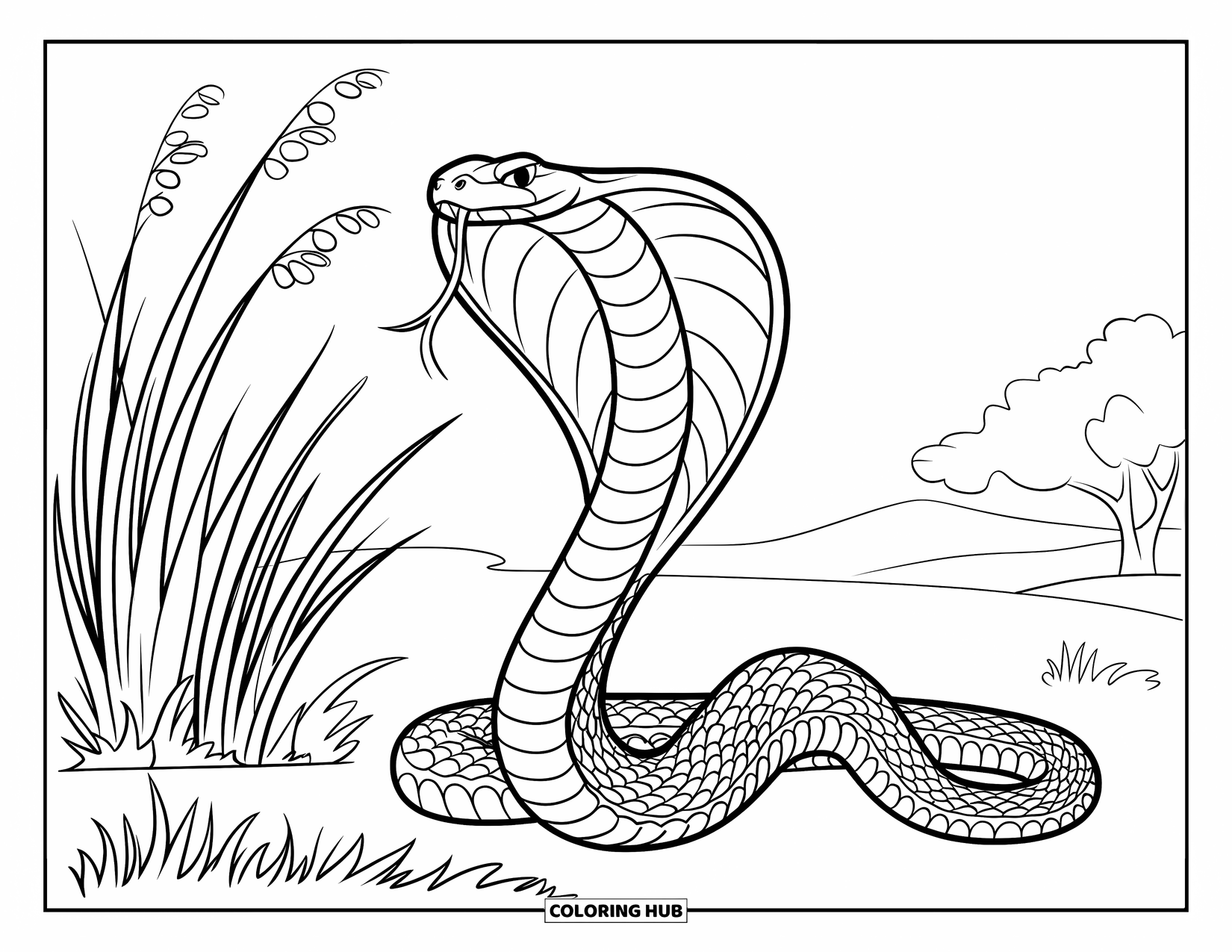 Reptile Coloring Page for Kids: Cobra with raised hood rests next to flowers and grass