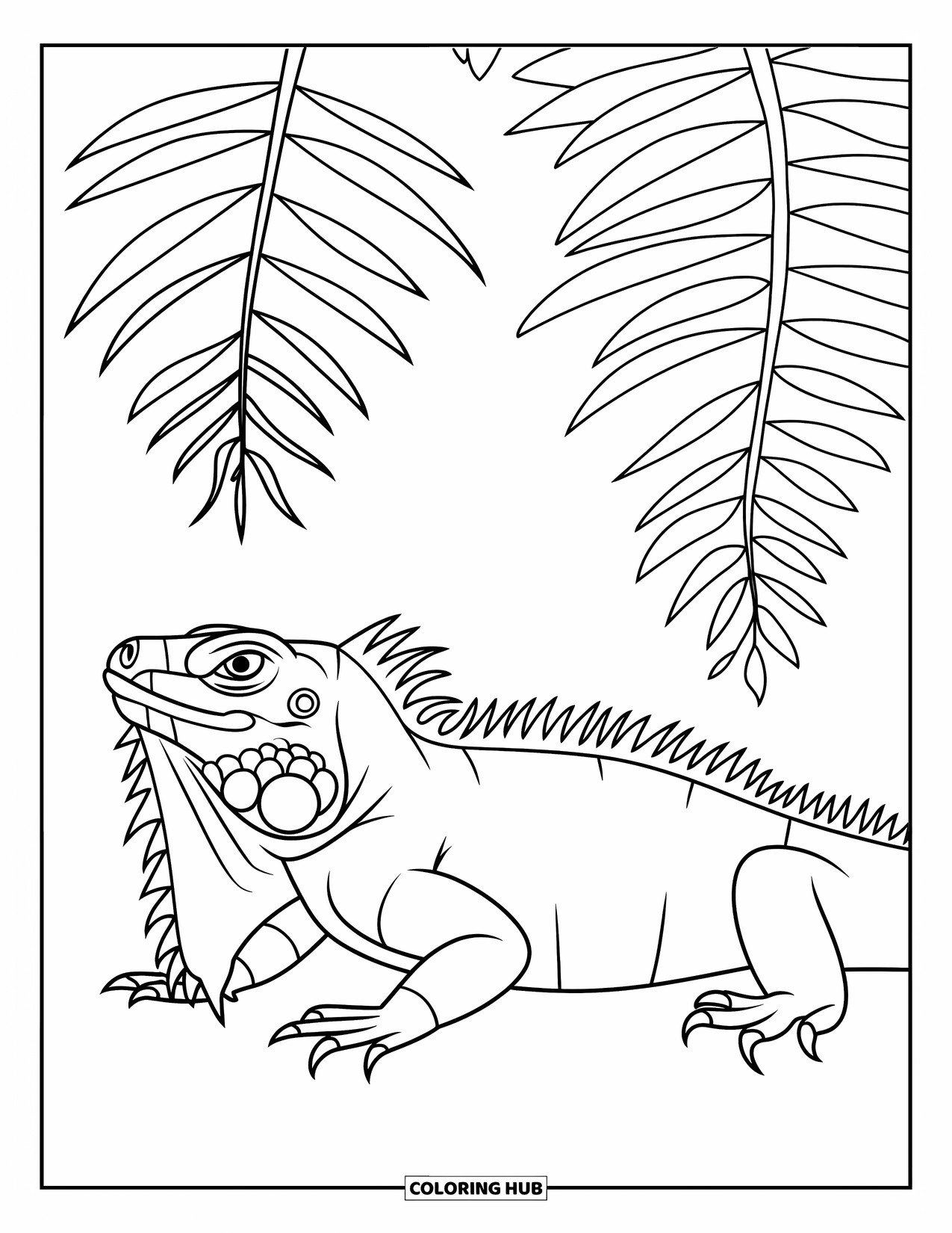Reptile Coloring Page for Kids: Iguana on a rock under ferns in a modern, clean layout
