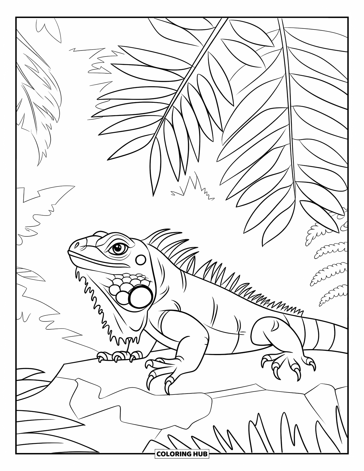 Reptile Coloring Page for Kids: Iguana sunbathes on a rock beneath tropical ferns