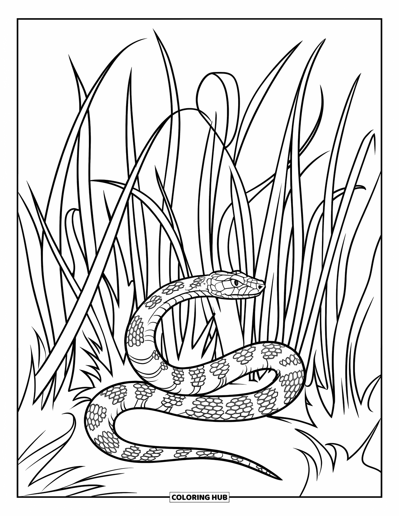 Reptile Coloring Page for Kids: Rattlesnake coiled in tall, wavy grass in open field
