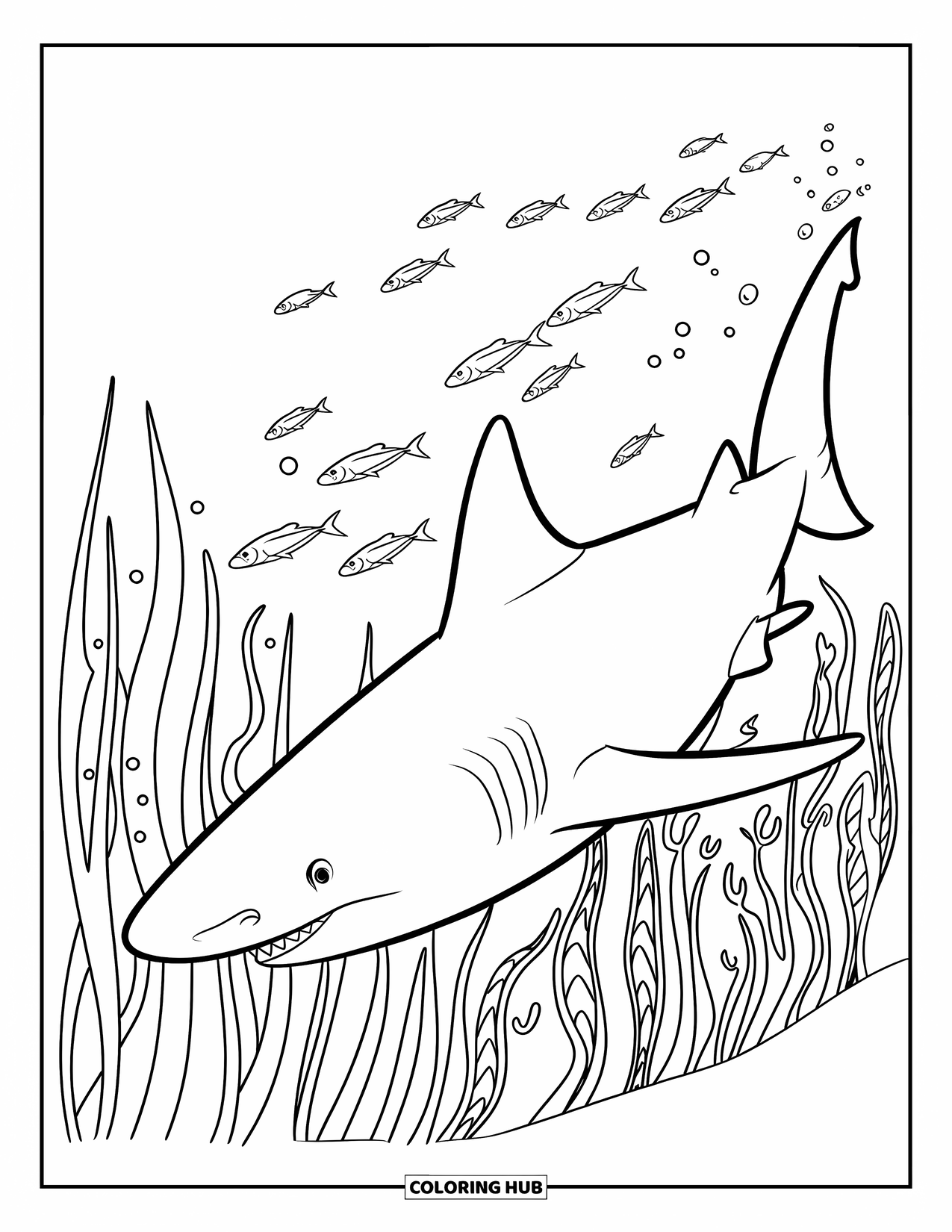 Hai Ausmalbild für Kinder: Ein Hammerhai schwimmt ruhig mit Fischen und Seetang
