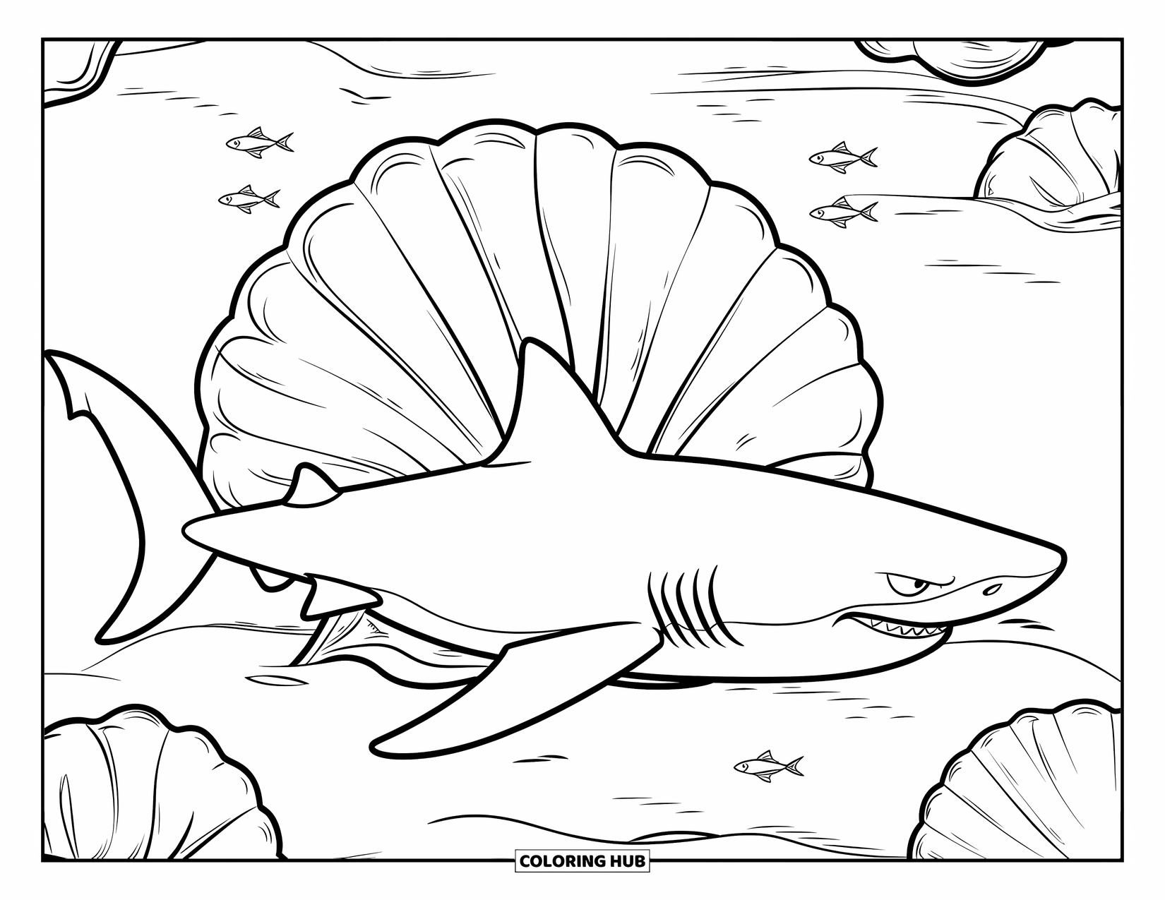 Hai Ausmalbild für Kinder: Ein Hai und eine riesige Muschel sitzen zusammen auf dem Meeresboden