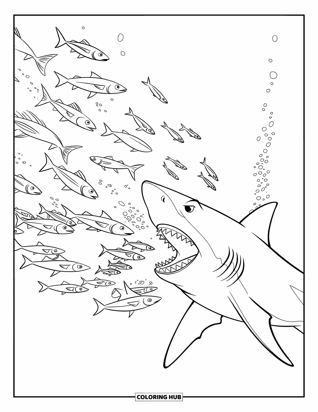 Hai Ausmalbild für Kinder: Ein Hai mit breitem Maul jagt Fische, die in alle Richtungen schwimmen