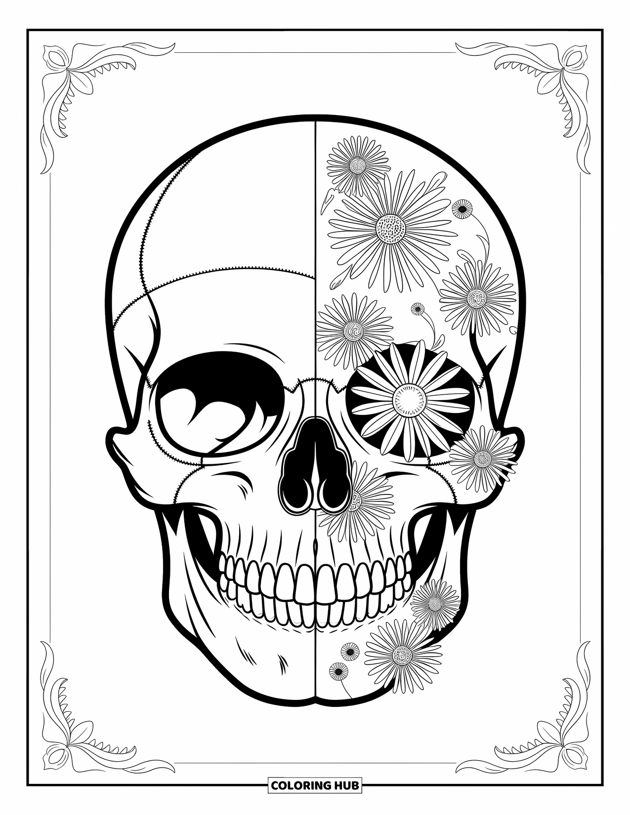 Skull Coloring Page for Adults: A skull split in half shows bones on one side and wildflowers blooming on the other