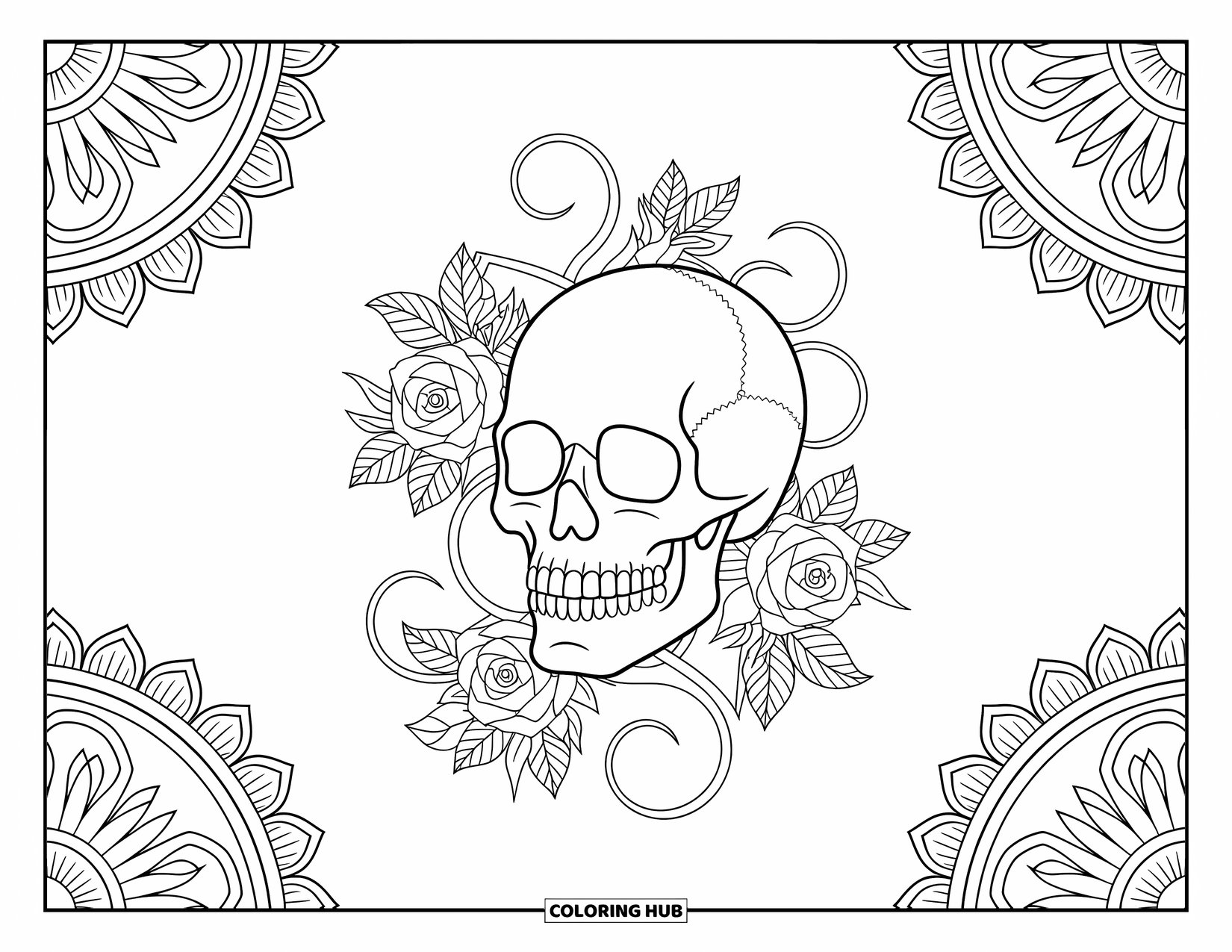 Skull Coloring Page for Adults: A skull wrapped in roses and vines sits within a border of intricate swirling designs