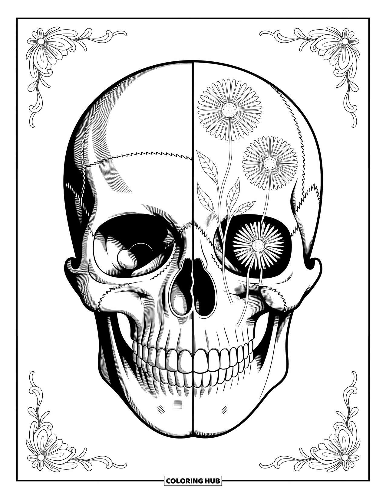 Skull Coloring Page for Adults: A split skull reveals bone on one side and wildflowers blooming on the other