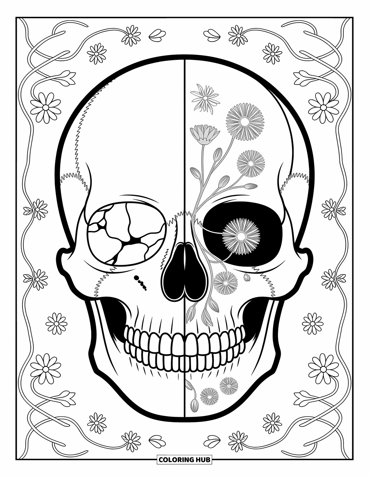 Skull Coloring Page for Adults: Anatomical skull meets wildflowers in a design that blends bone details with delicate blooms