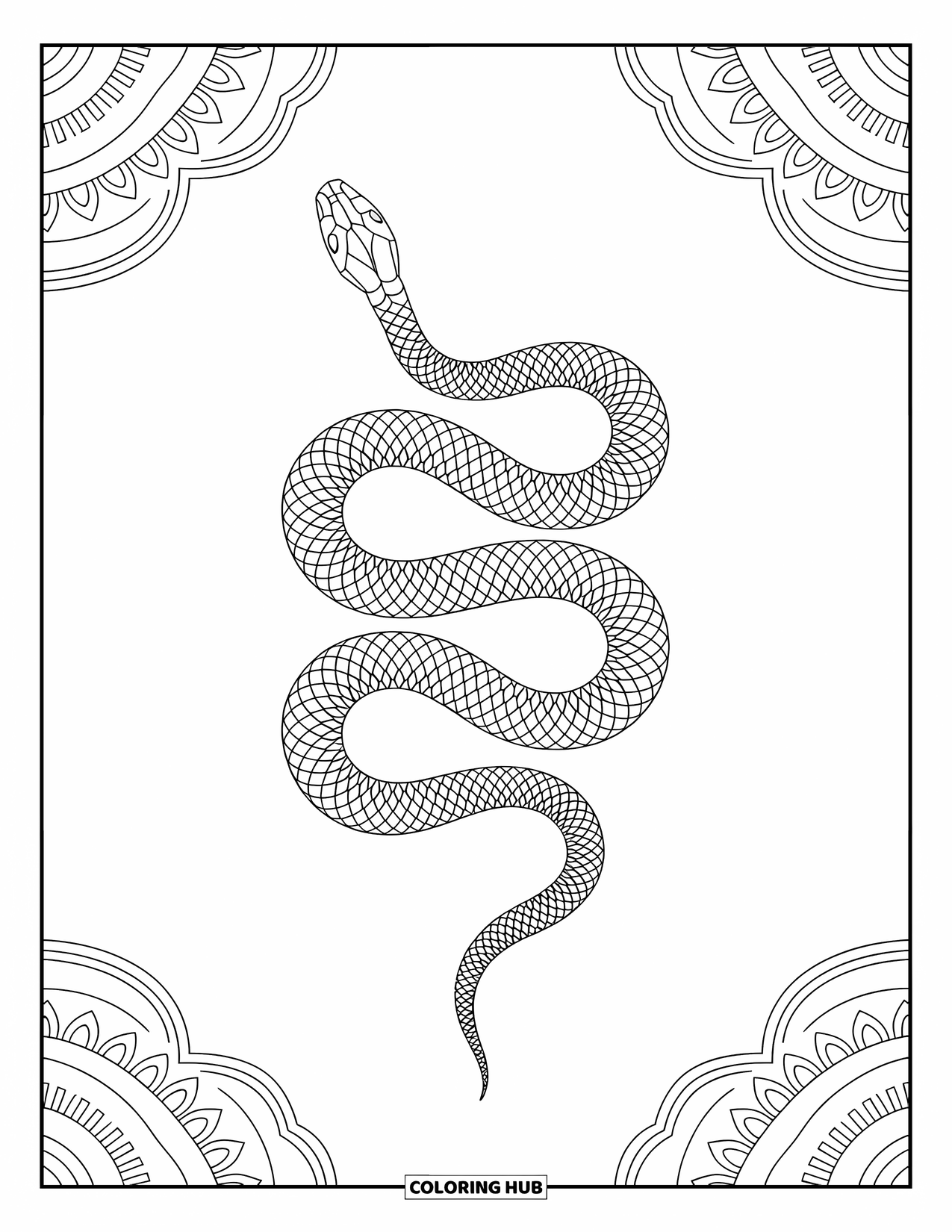 Kolorowanka z wężem dla dorosłych: Zwinięty wąż spoczywa wśród warstwowych wzorów plemiennych i ozdobnych obramowań