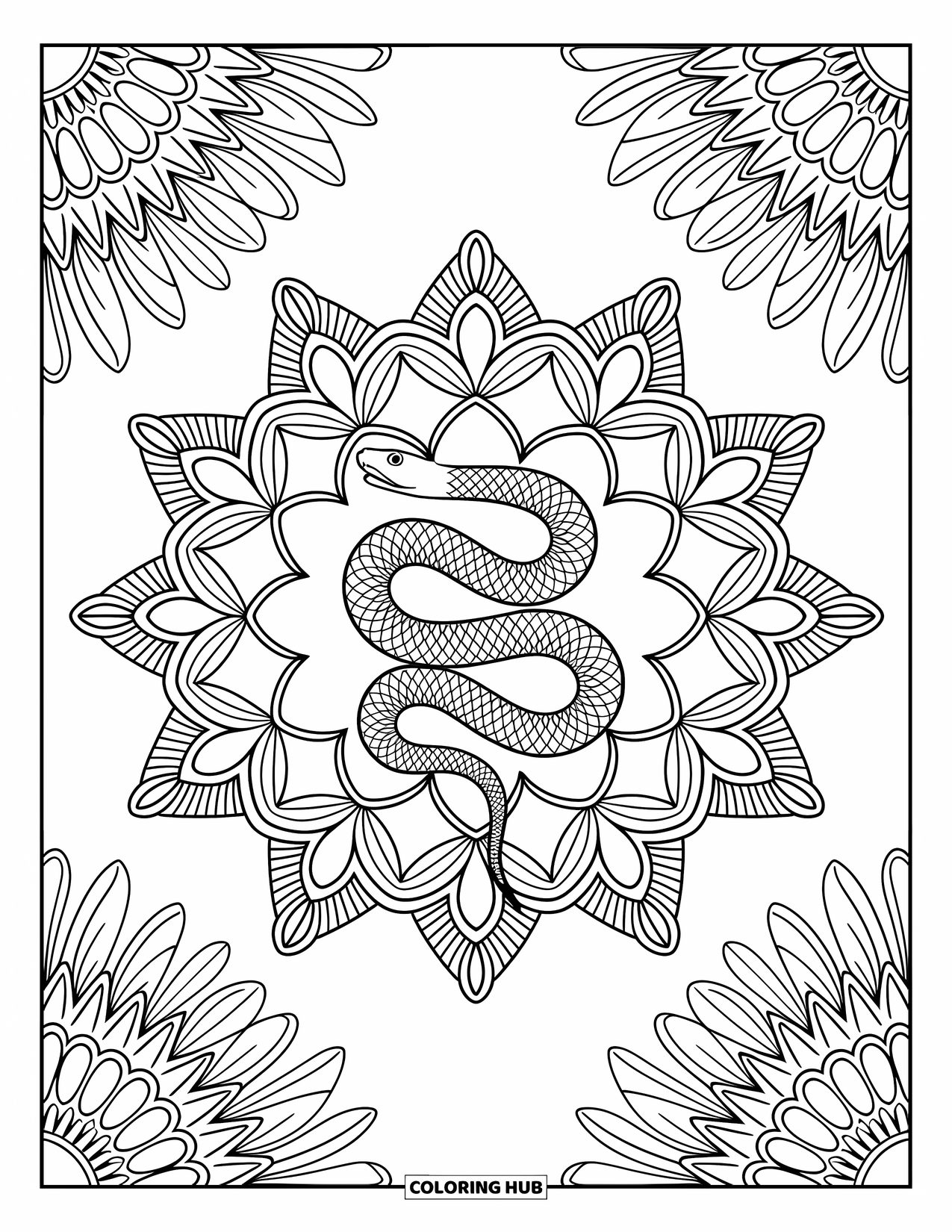 Kolorowanka z wężem dla dorosłych: Zwinięty wąż spoczywa w centrum mandali z promienistymi kwiatowymi wzorami