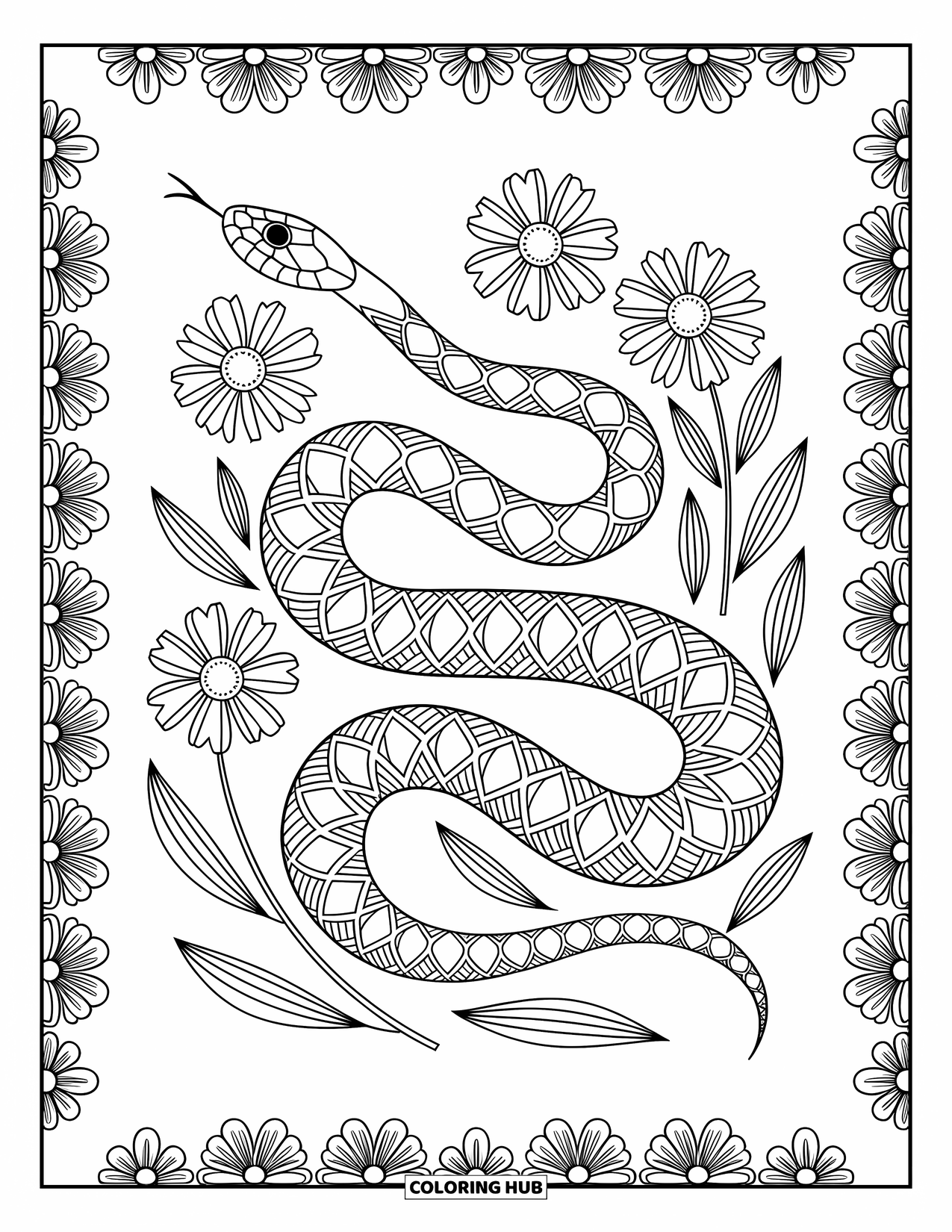 Kolorowanka z wężem dla dorosłych: Wijący się wąż porusza się wśród polnych kwiatów otoczonych eleganckimi kwiatowymi obramowaniami i drobnymi liniami