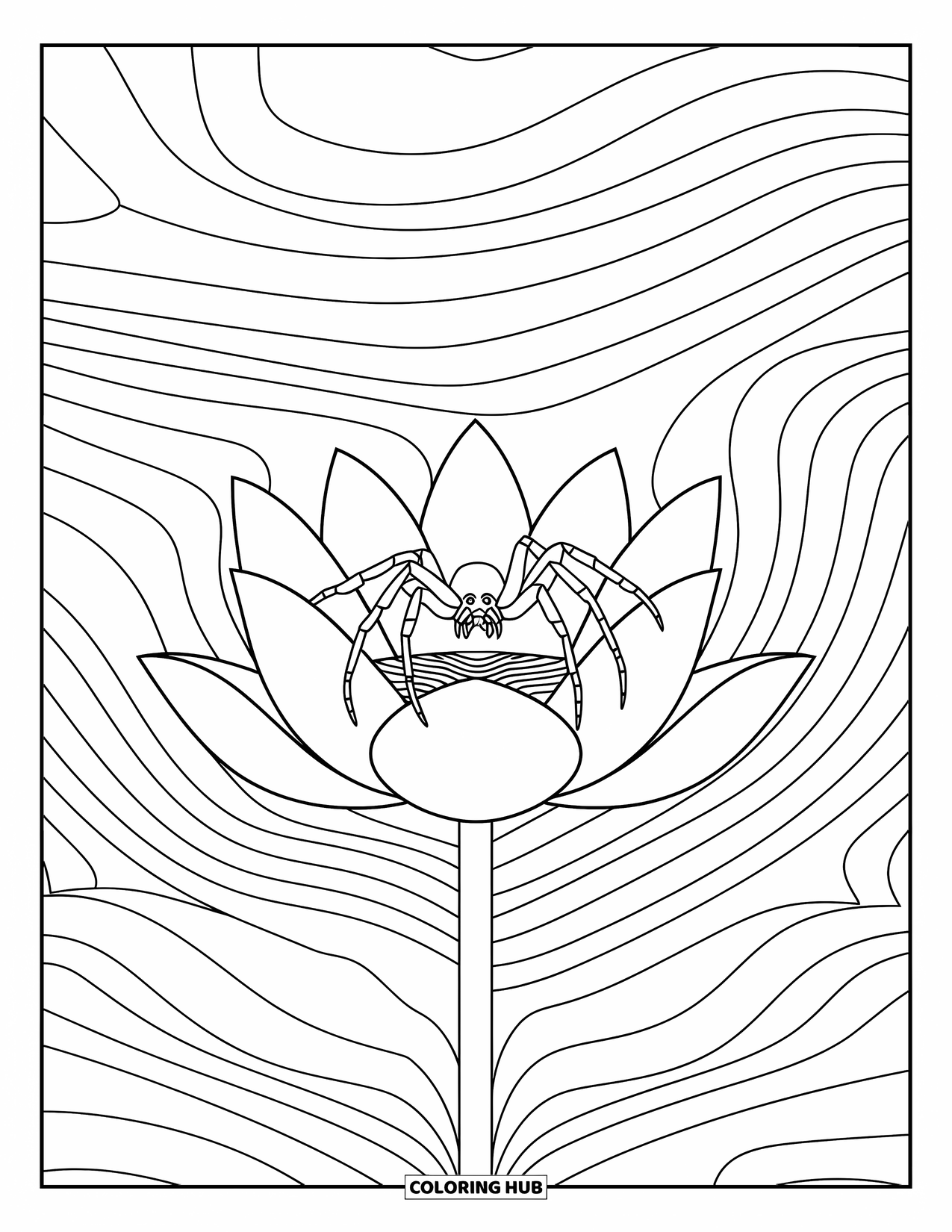 Spinnen-Ausmalbild für Erwachsene: Eine ruhige Spinne sitzt sanft auf einem Lotus, umrahmt von sanften Wellenmustern.