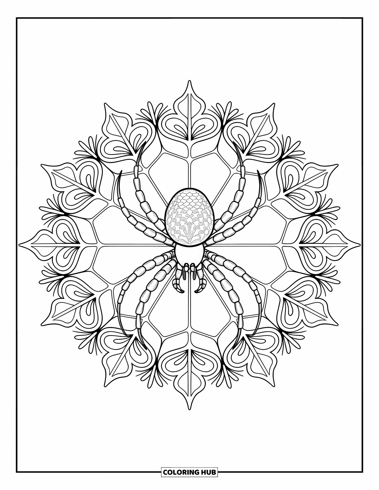 Spinnen-Ausmalbild für Erwachsene: Eine anmutige Spinne ruht in einem floralen Mandala, umgeben von geschichteten botanischen Designs.