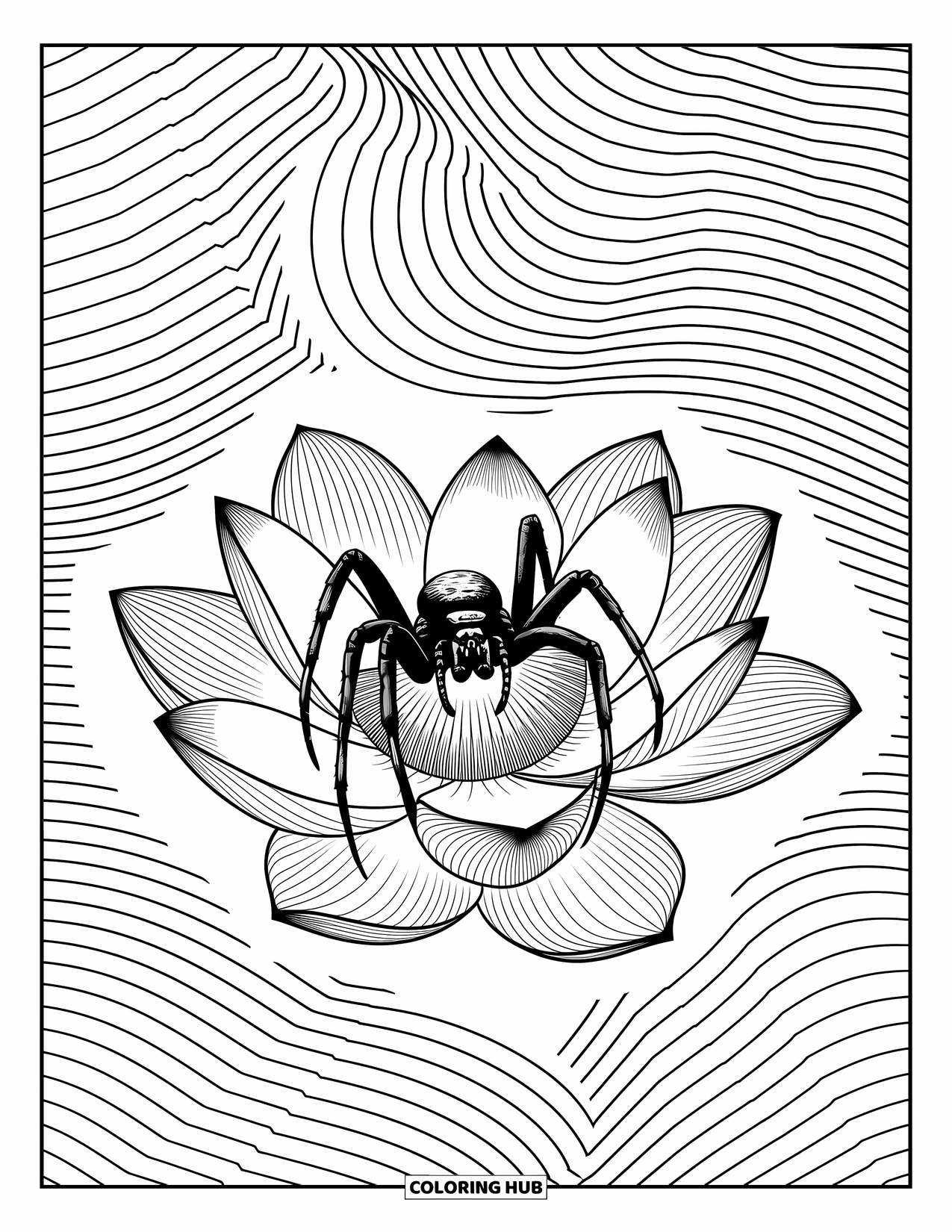 Spinnen-Ausmalbild für Erwachsene: Eine Spinne ruht auf Lotusblättern, umgeben von sanften Wellen und fließenden Linien.