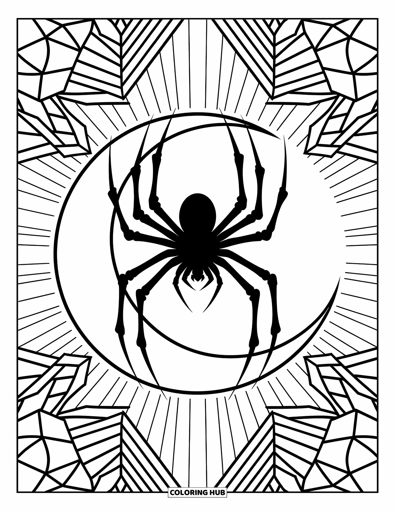 Spinnen-Ausmalbild für Erwachsene: Eine vom Mond silhouettierte Spinne ist mit Blättern und sanften geometrischen Designs umrahmt.