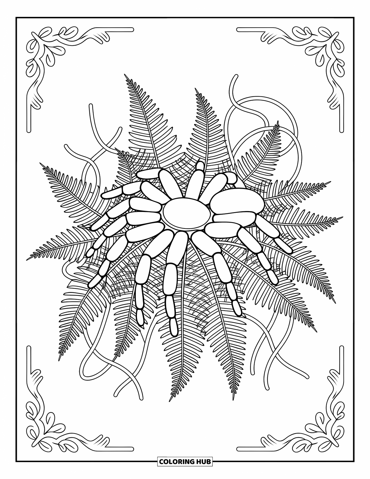 Spinnen-Ausmalbild für Erwachsene: Eine Vogelspinne erkundet dichte Farne und Ranken, umgeben von anmutigen, dekorativen Formen.