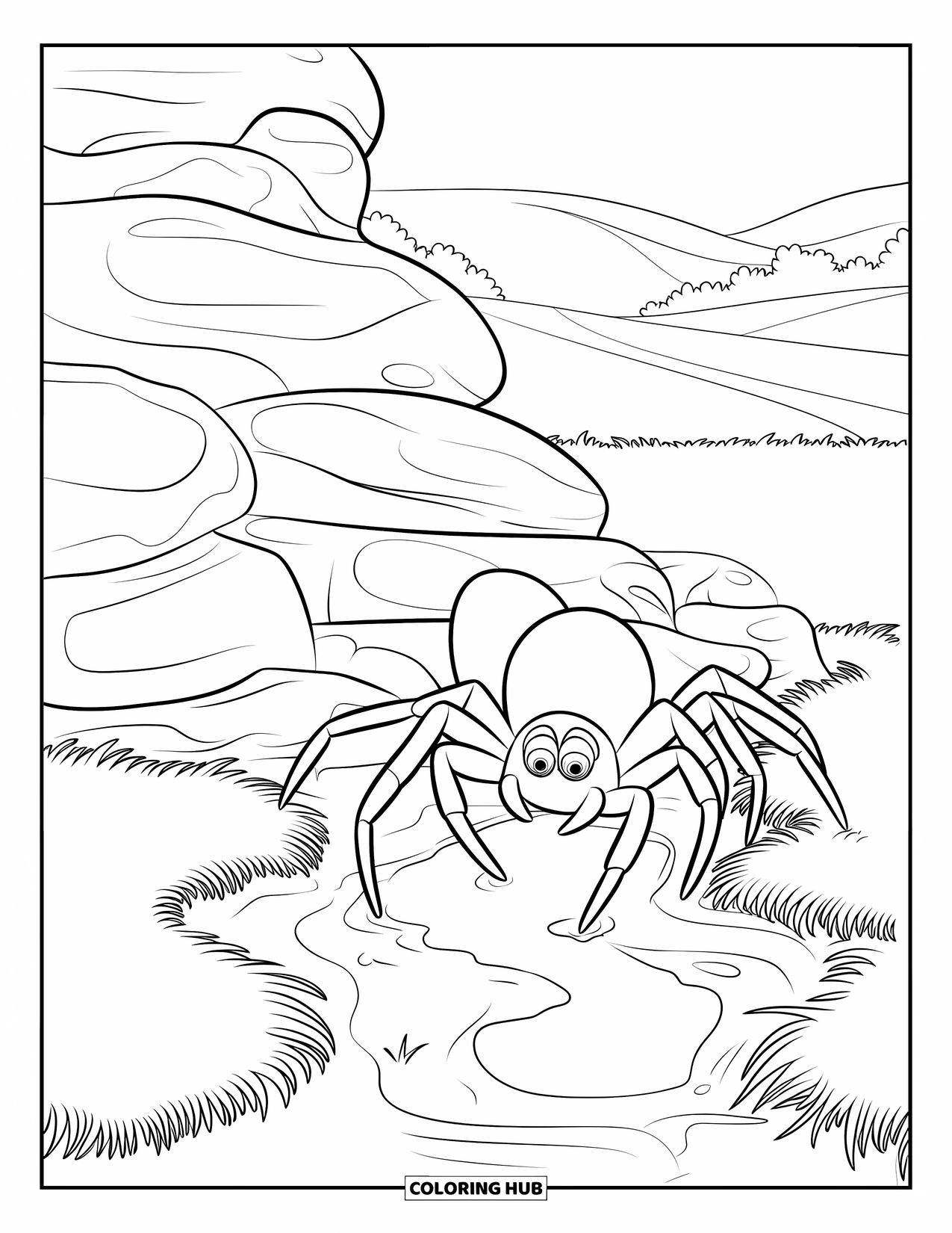 Spinnen-Ausmalbild für Kinder: Eine große Spinne erkundet Felsbrocken in der Nähe einer Pfütze mit Wellen und belaubtem Gras