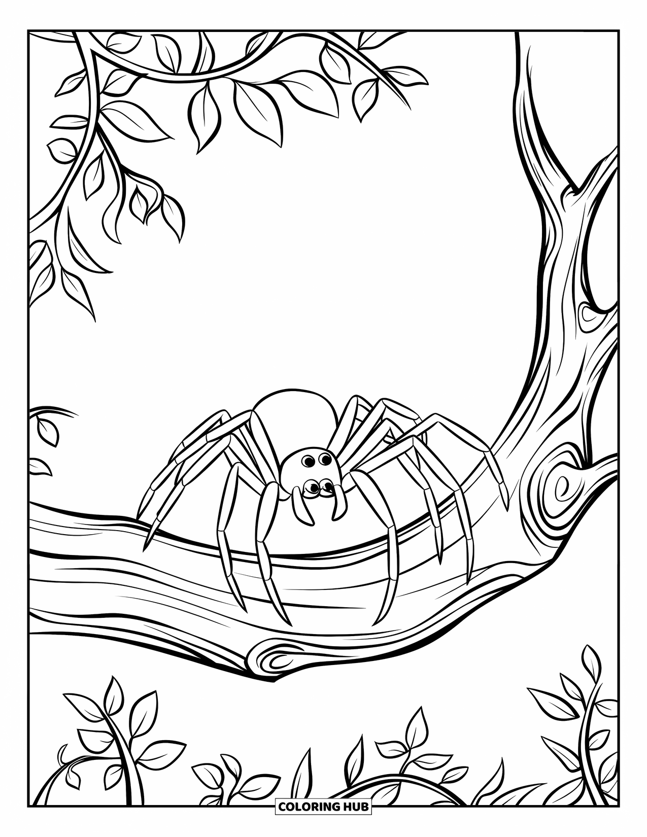 Spinnen-Ausmalbild für Kinder: Eine Spinne krabbelt auf einem gebogenen Ast entlang, der mit kleinen Blättern übersät ist